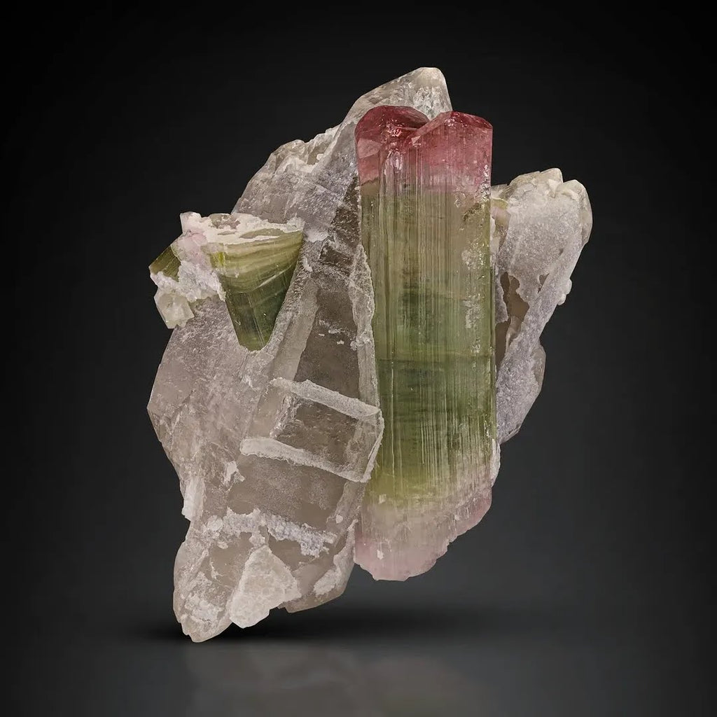 Bi color Tourmaline Crystals on Smoky Quartz from Afghanistan