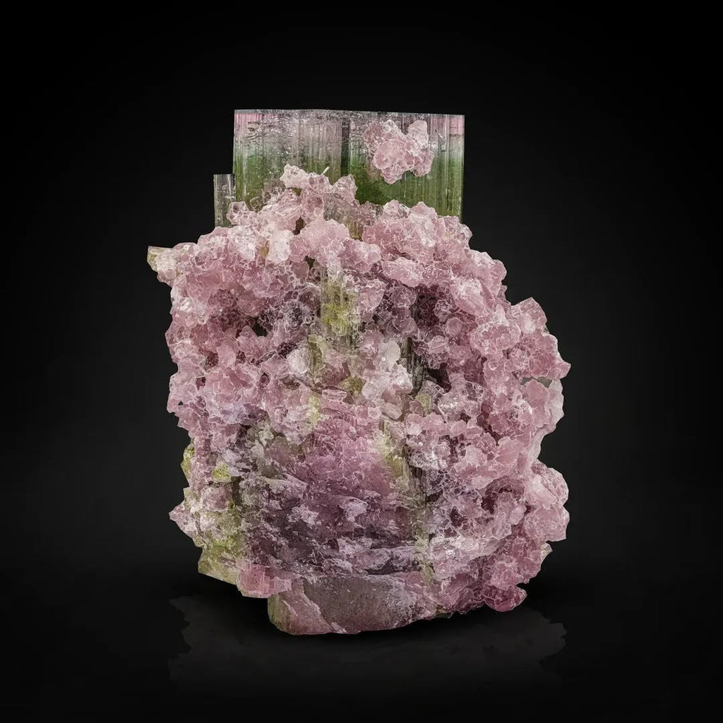 Green to Pink Color Lustrous Tourmaline Crystal on Purple Lepidolite from Afghanistan