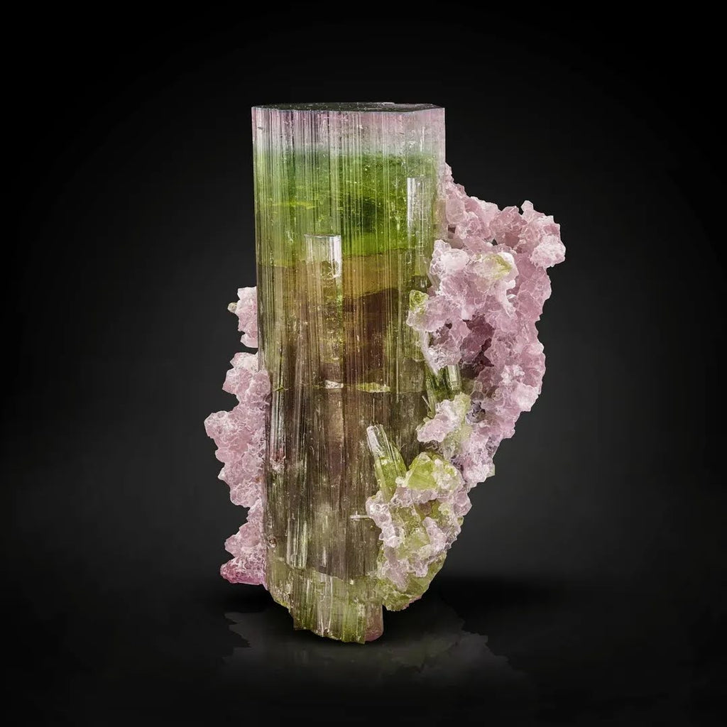 Green to Pink Color Lustrous Tourmaline Crystal on Purple Lepidolite from Afghanistan