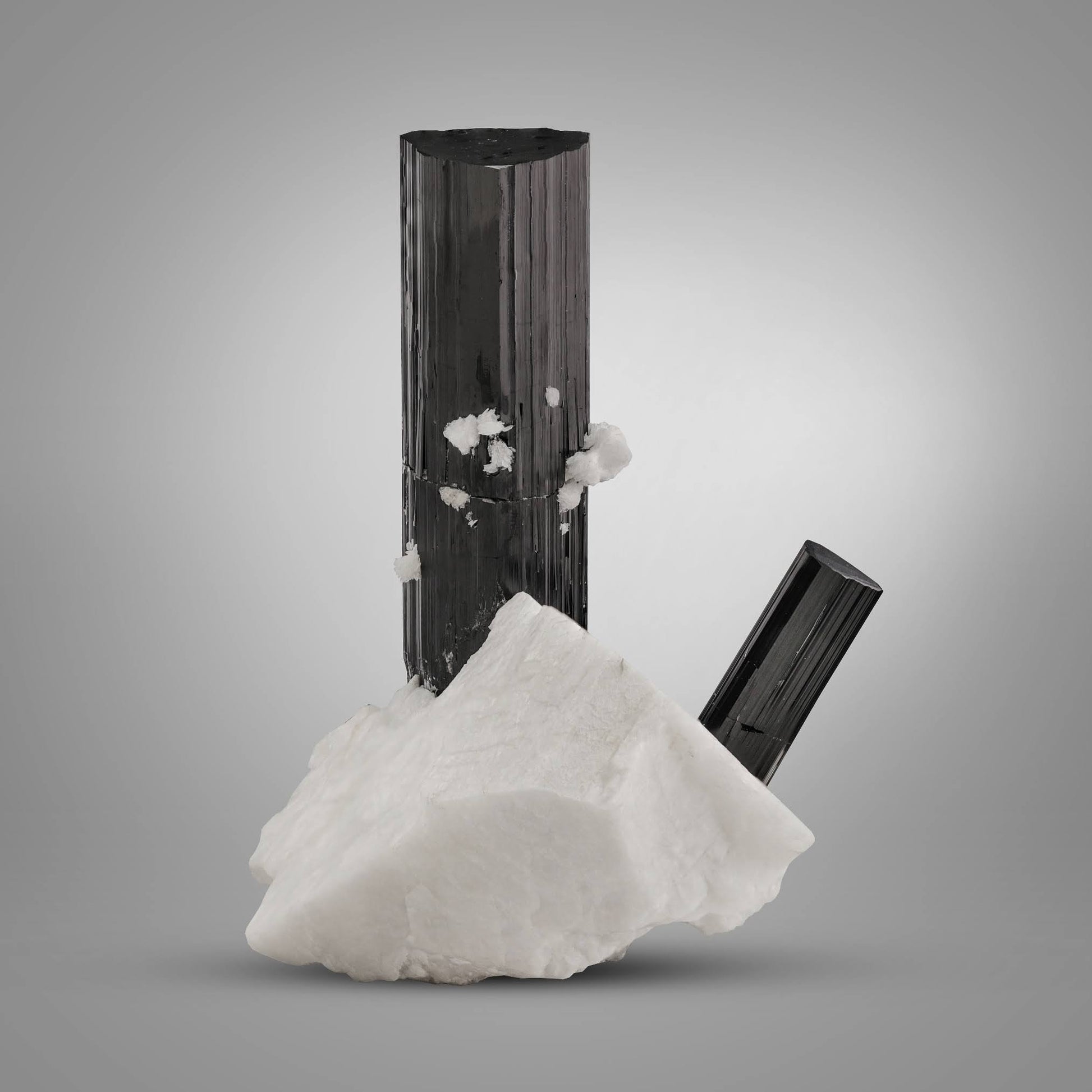 couple of Black Tourmaline crystals on white Albite matrix from Pakistan