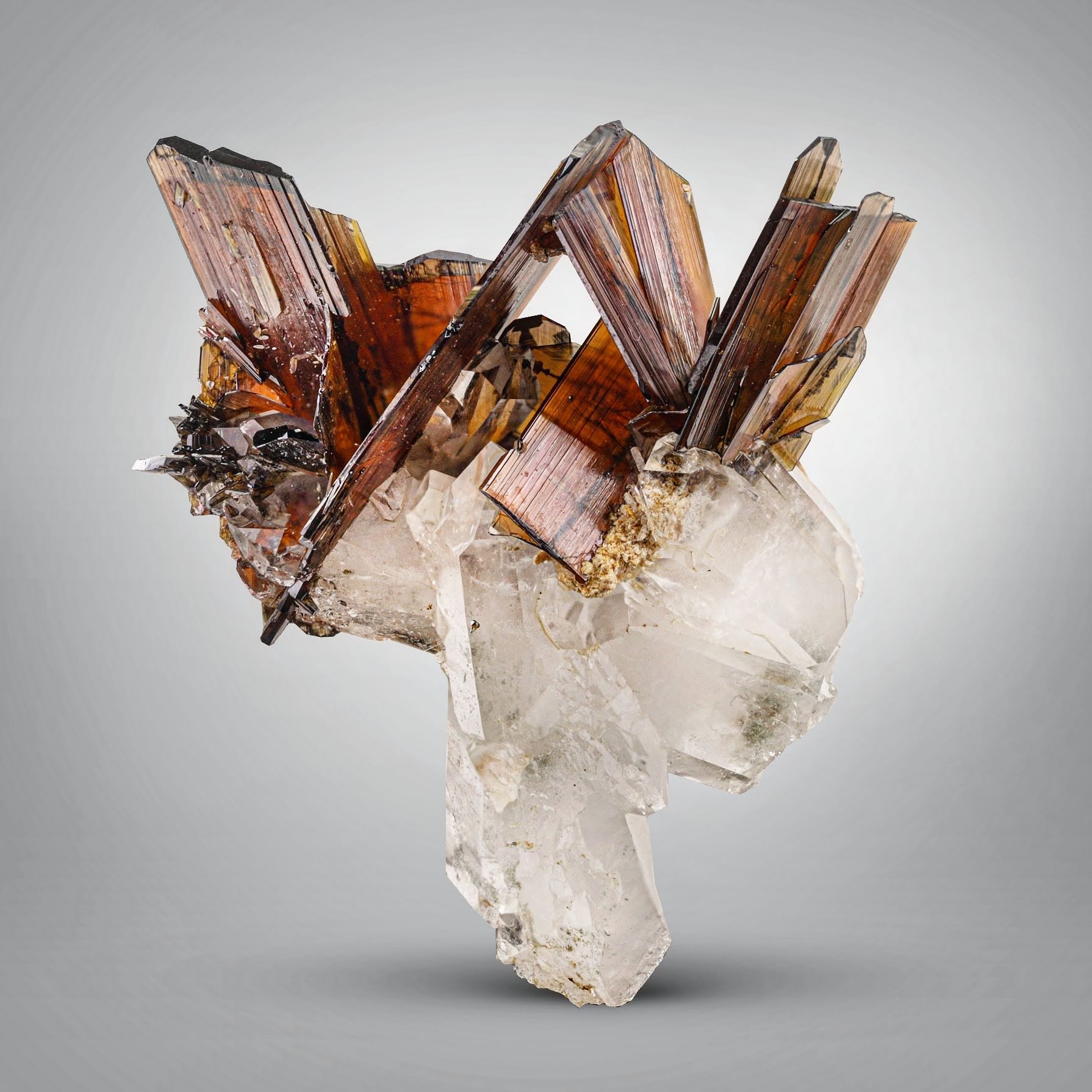 clustering of fine red color Brookite crystals on Quartz from Pakistan