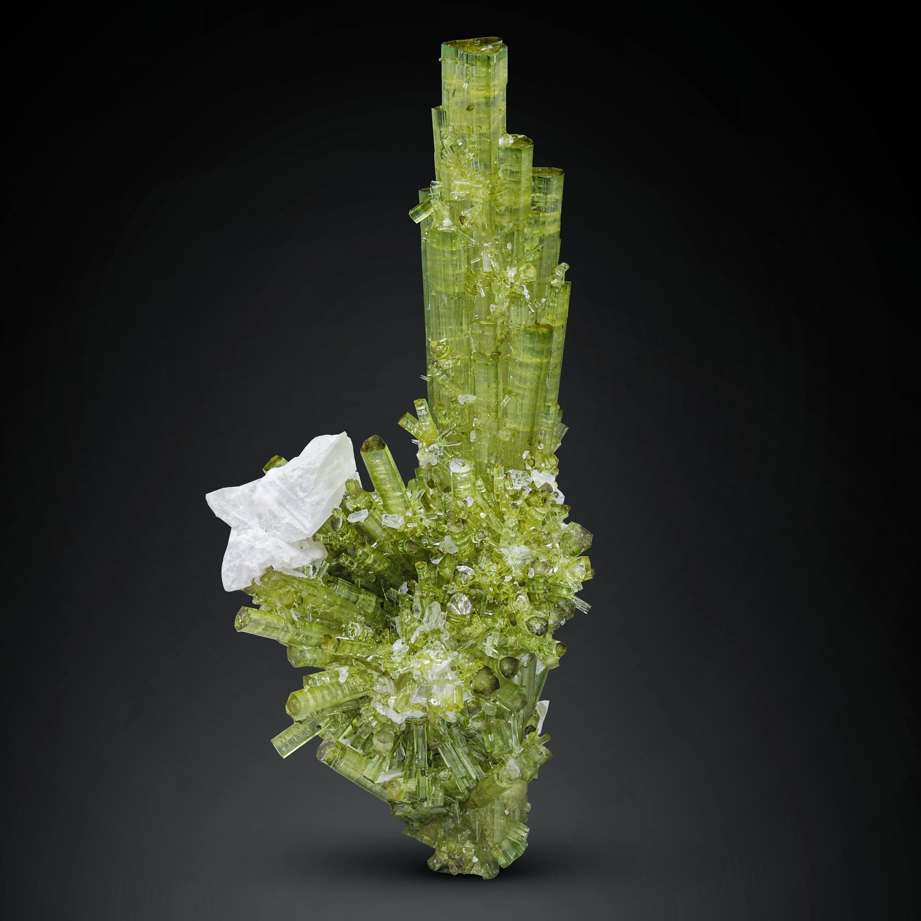 Mint-green Double Terminated Tourmaline with Rare Hambergite from Pakistan