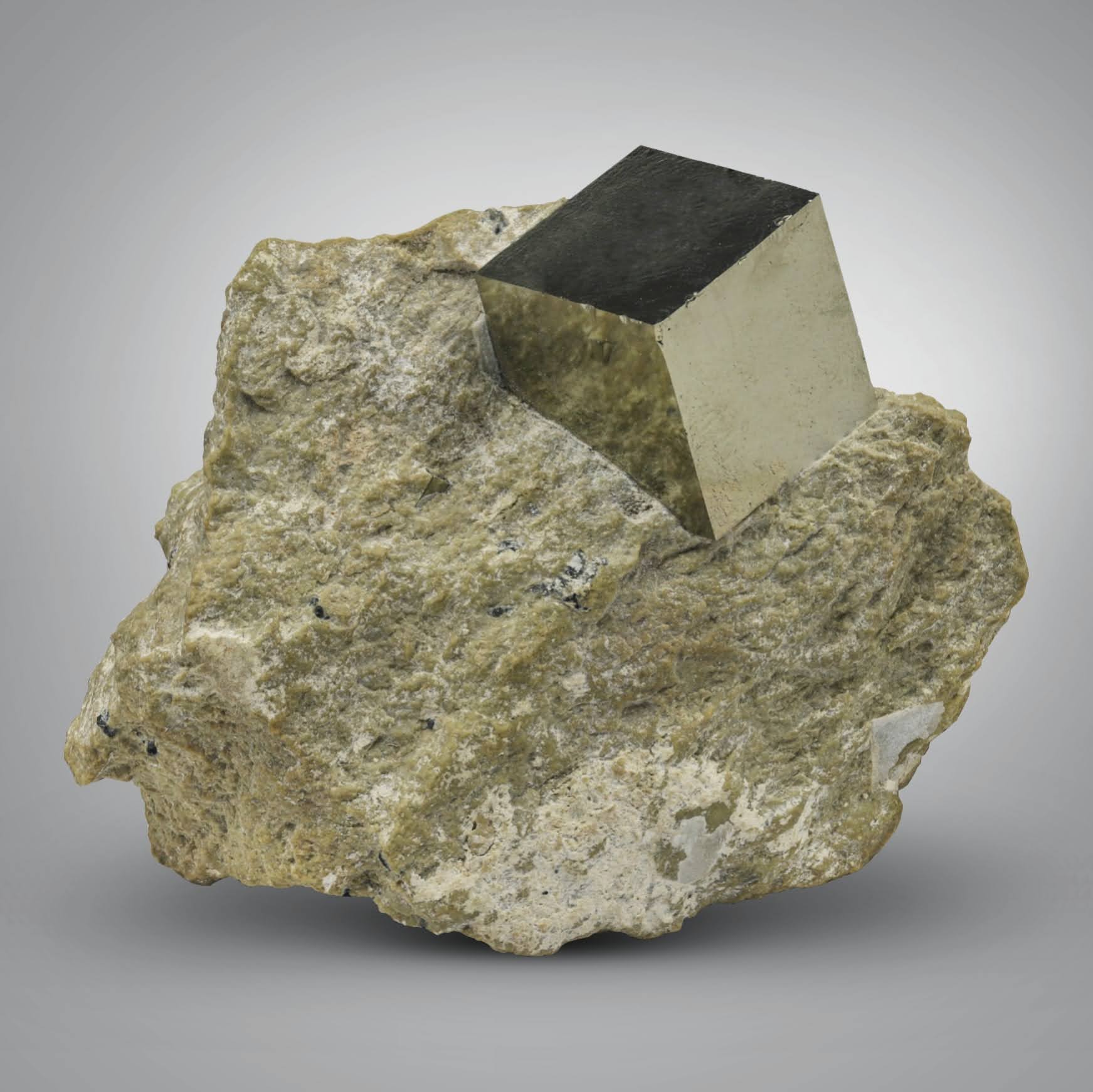 isolated golden color Pyrite crystal on marl matrix from Pakistan