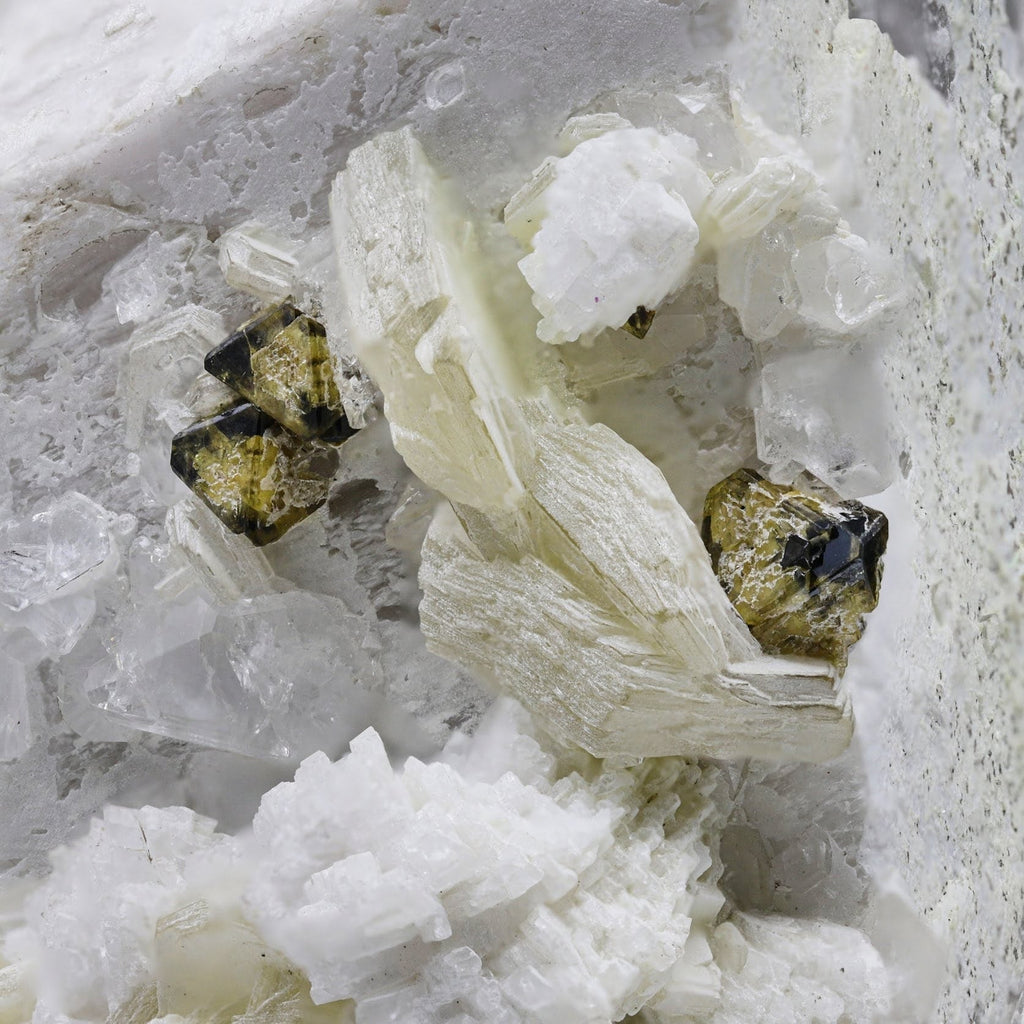 Microlite On Microcline With Muscovite From Pakistan