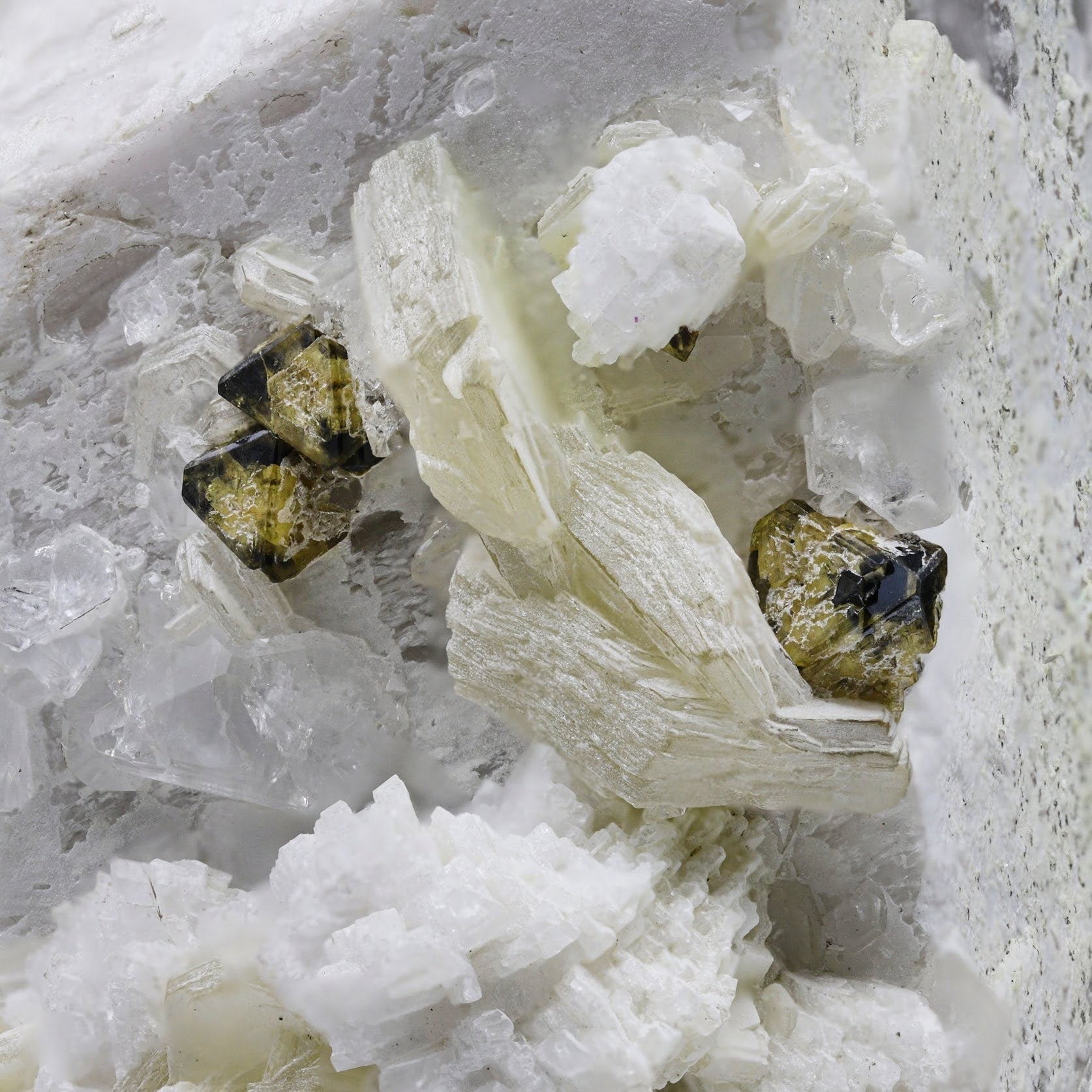 Microlite On Microcline With Muscovite From Pakistan