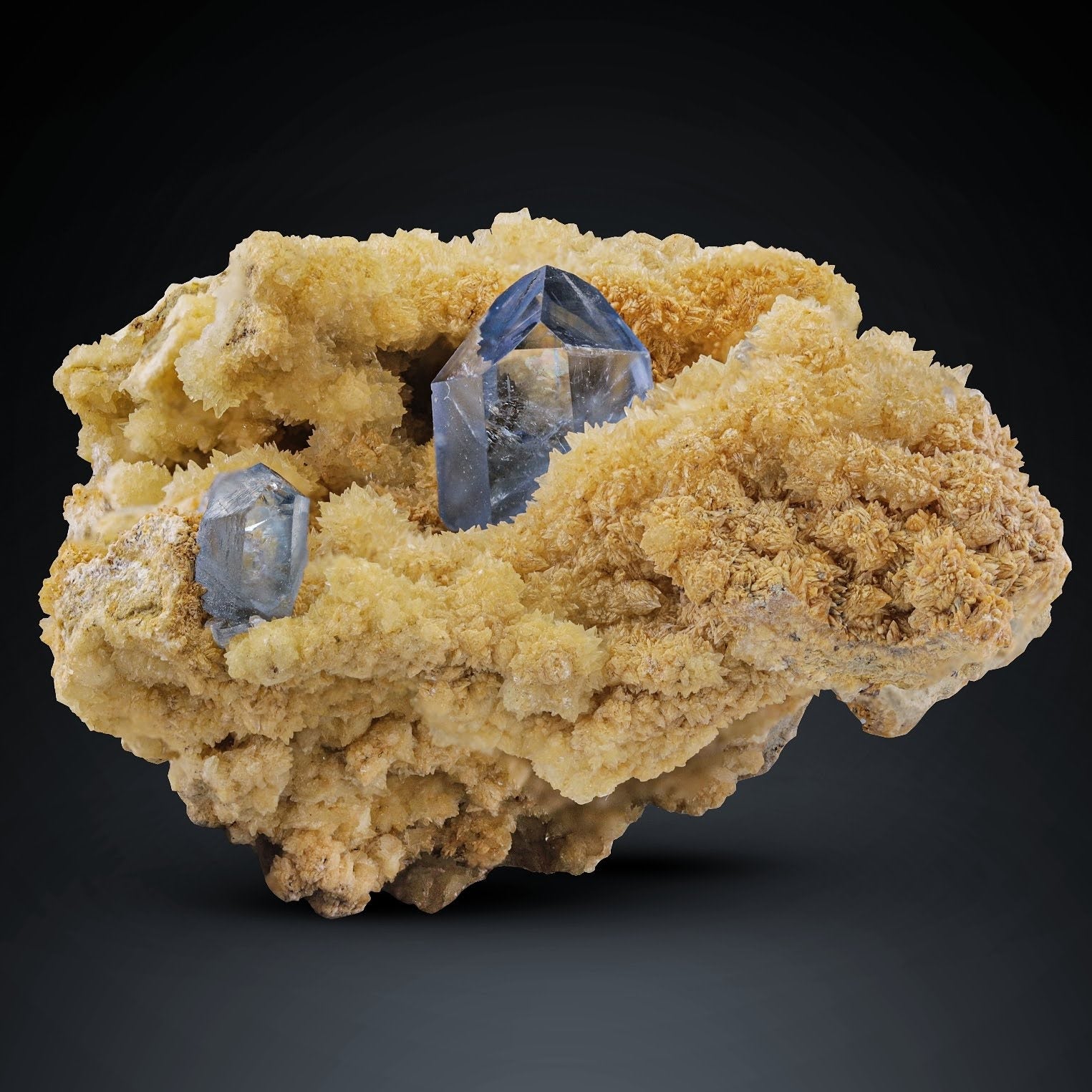 Blue Celestite crystals nestled in orange Calcite from Afghanistan