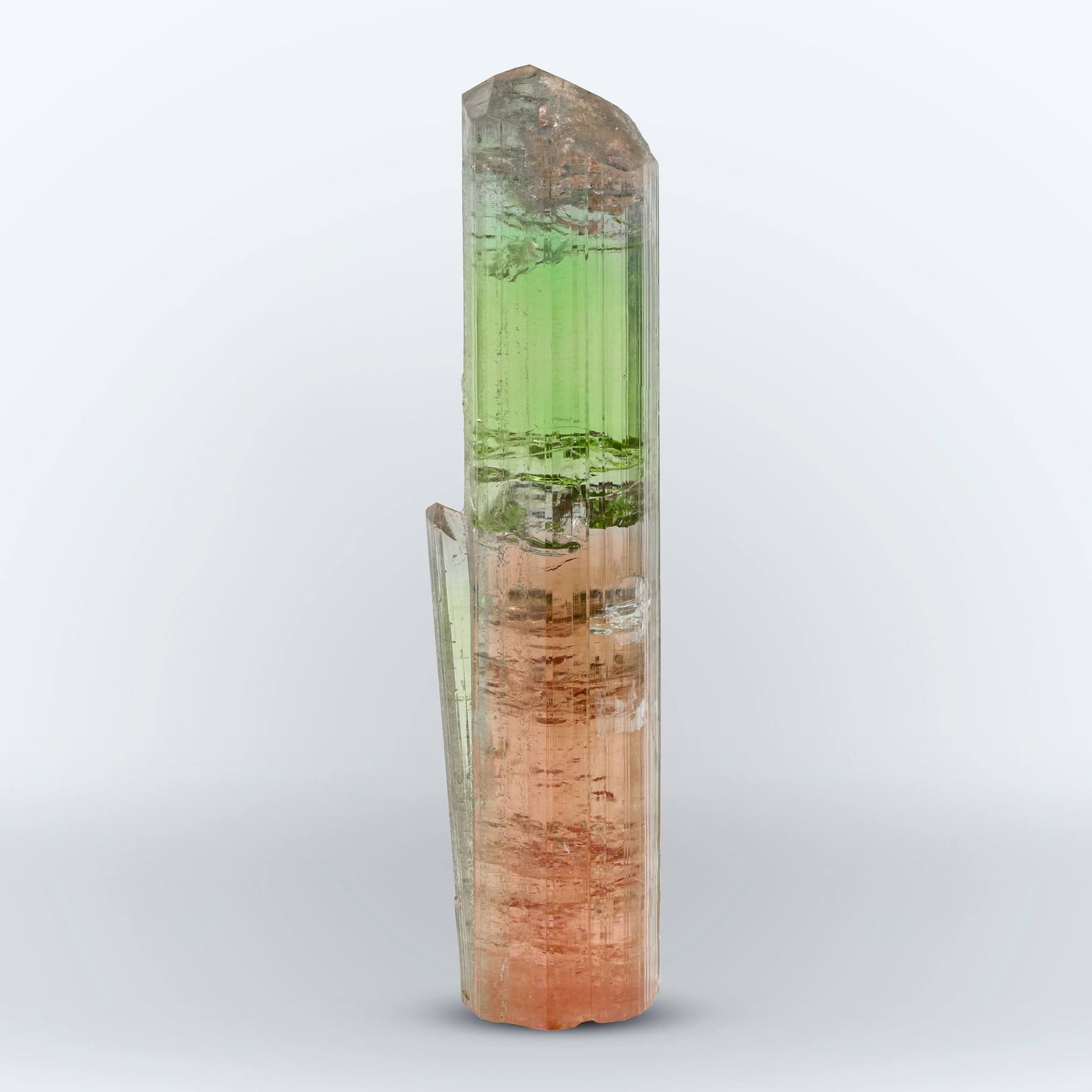 Colorful double terminated bicolor Tourmaline crystal From Afghanistan