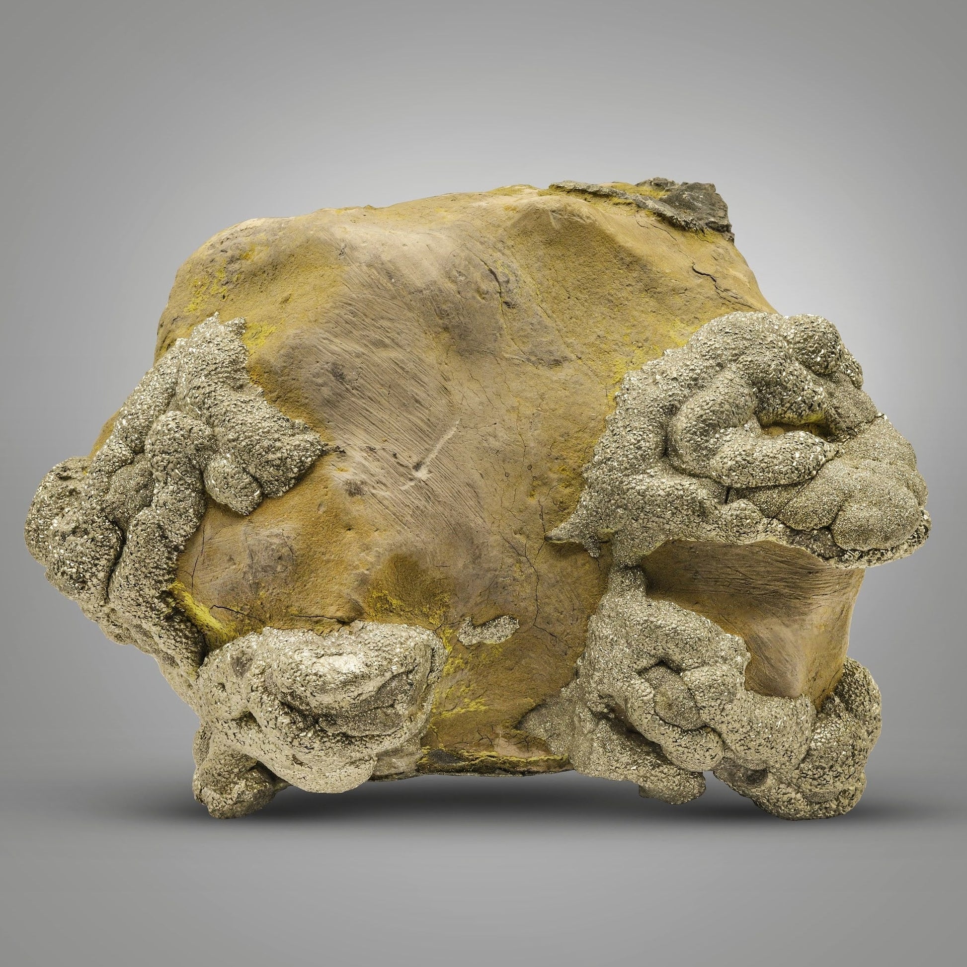 Glittery Pyrite crystals on contrasting Lemonite matrix from Pakistan