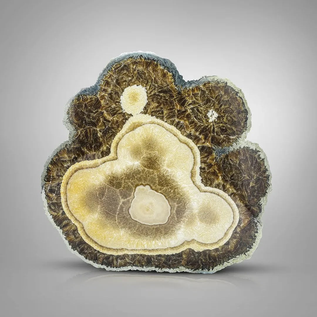 Combination of Polished Barite with Marcasite from Poland