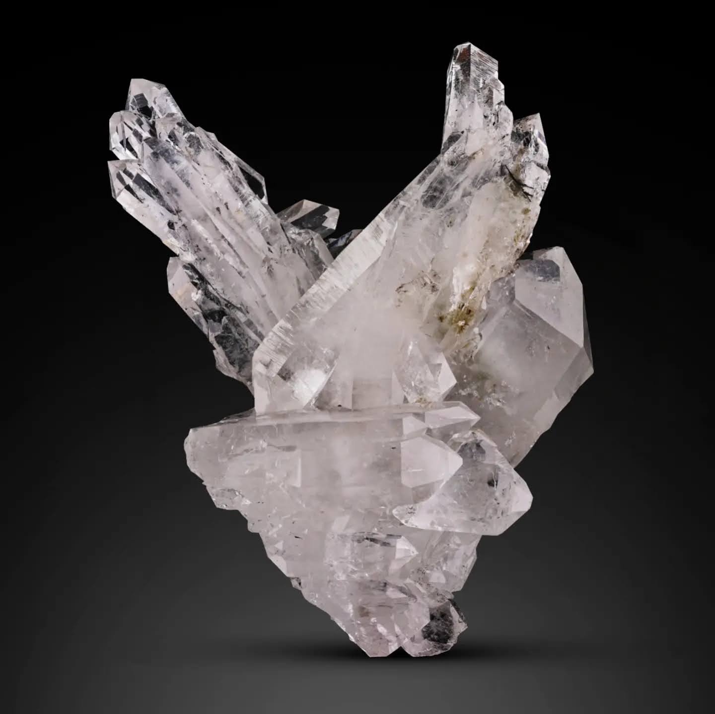 Lustrous Black Brookite crystals on clear Quartz cluster from Pakistan
