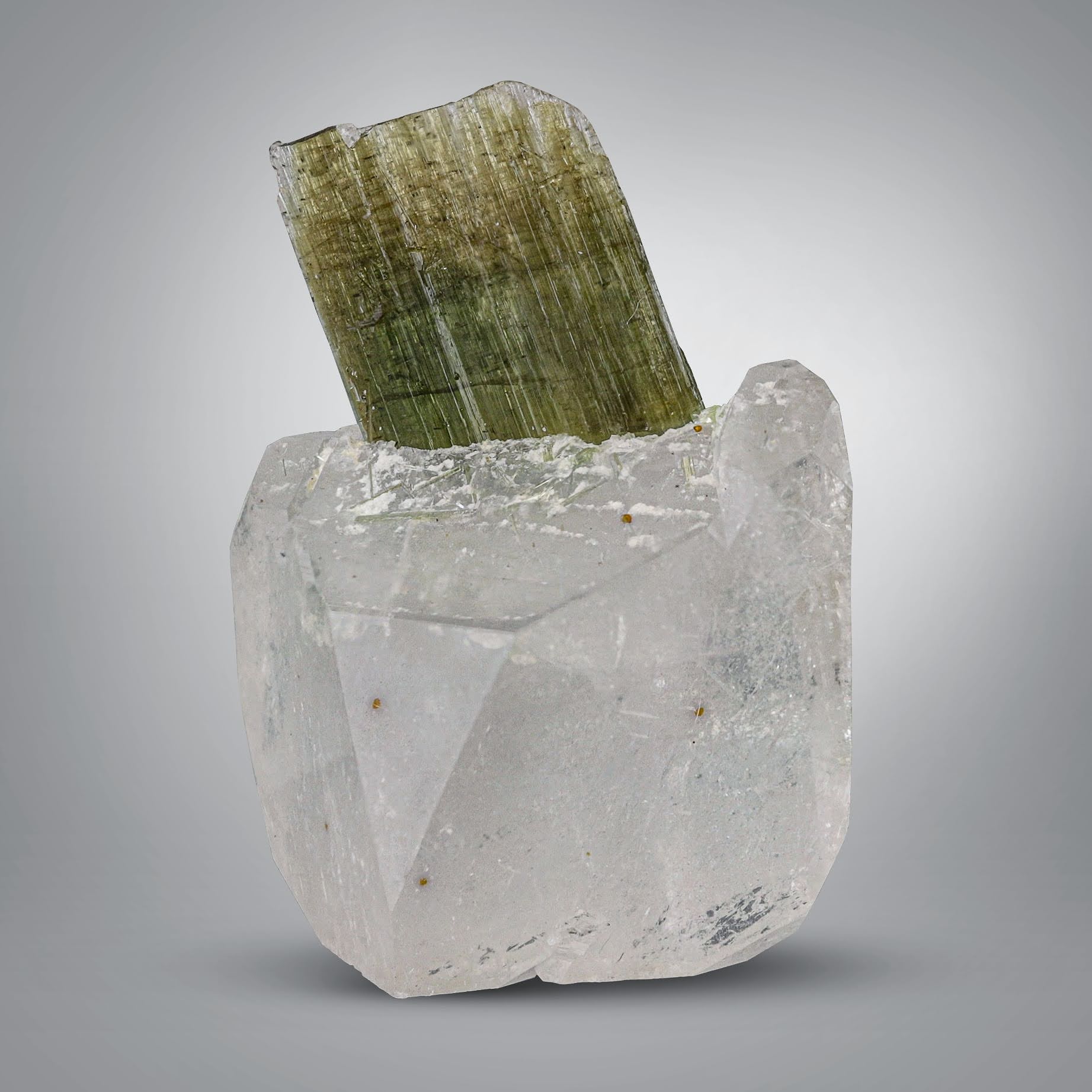 Green Bi color Tourmaline Crystal Perched on Topaz from Pakistan
