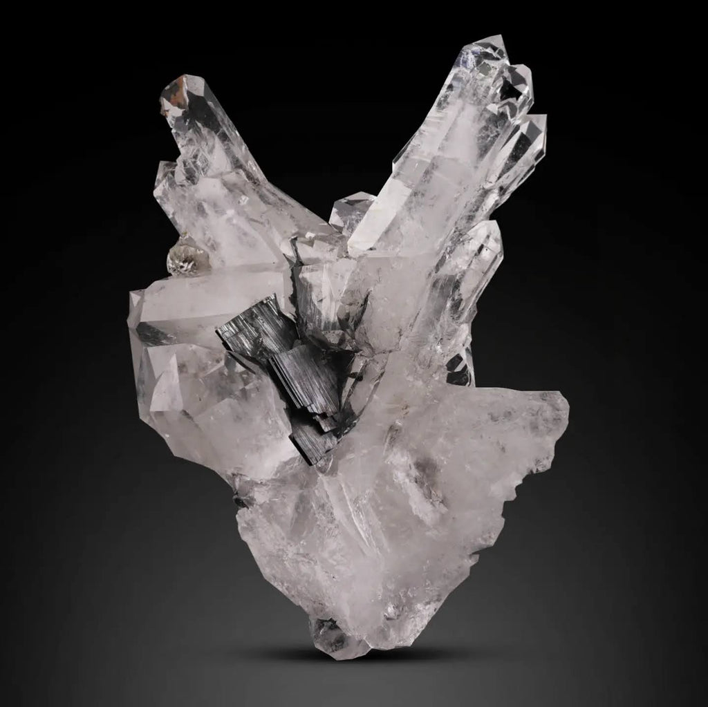 Lustrous Black Brookite crystals on clear Quartz cluster from Pakistan