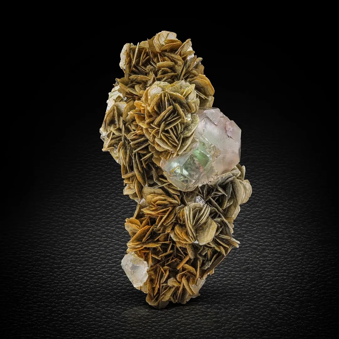 Fluorite Crystal on Muscovite with Excellent Transparency from Pakistan