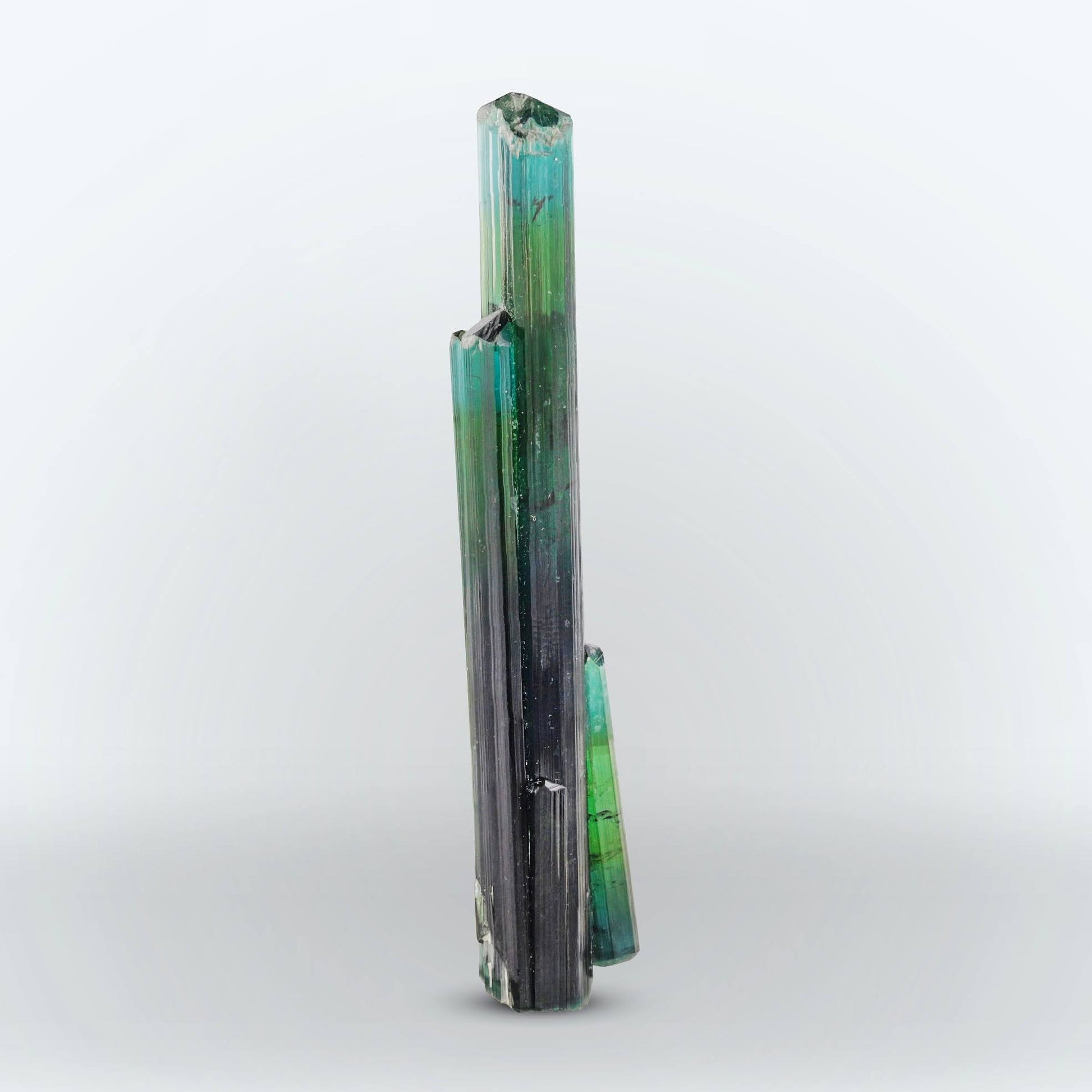 bi color sculptural of Tourmaline cluster with excellent quality from Afghanistan