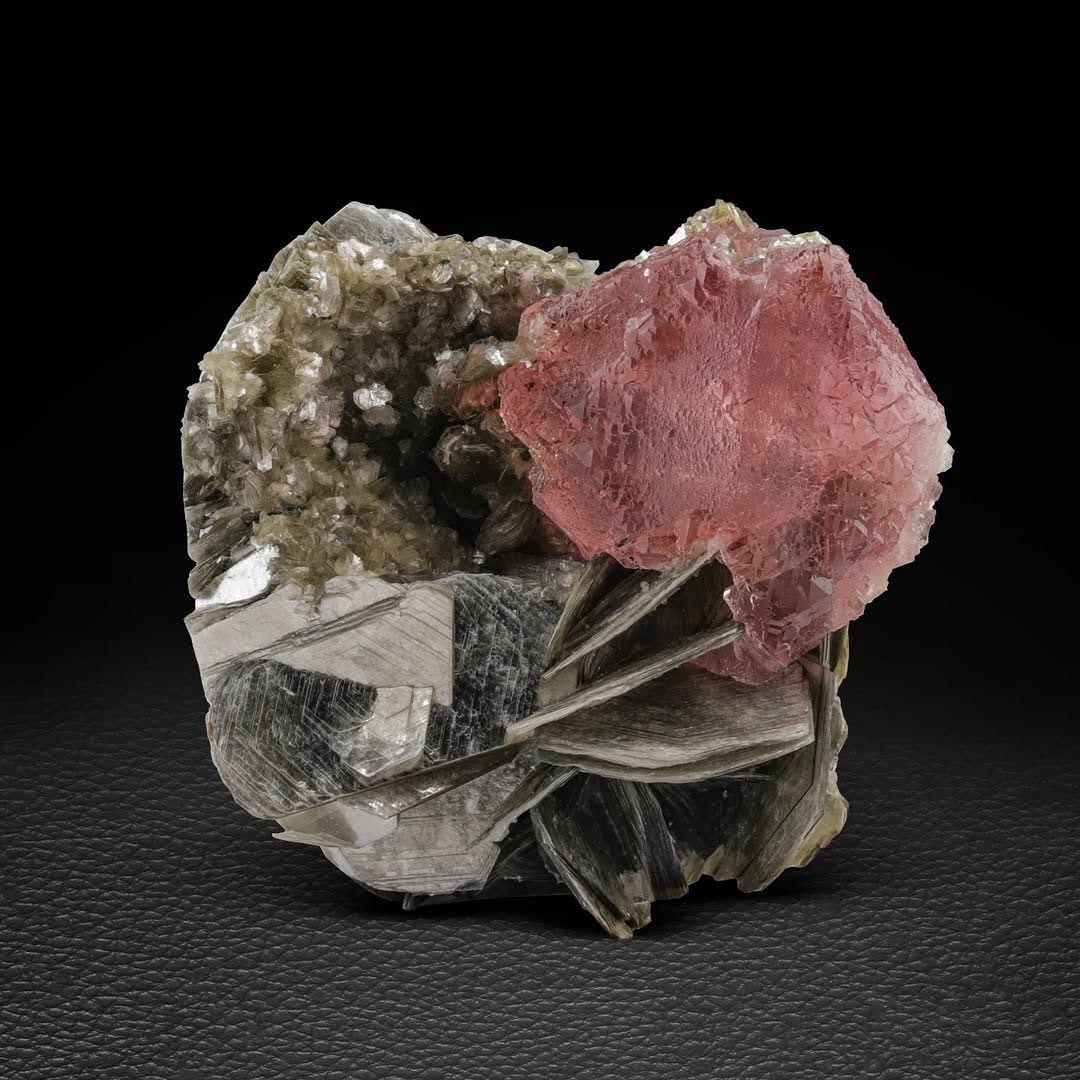 Reddish-Pink Fluorite Focal Crystal Perched on Muscovite from Pakistan