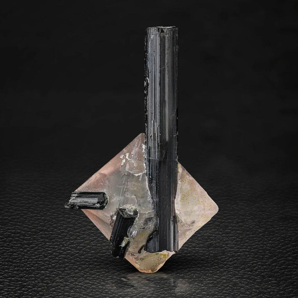 Free Standing Black Tourmaline Crystals on Pink Fluorite from Pakistan
