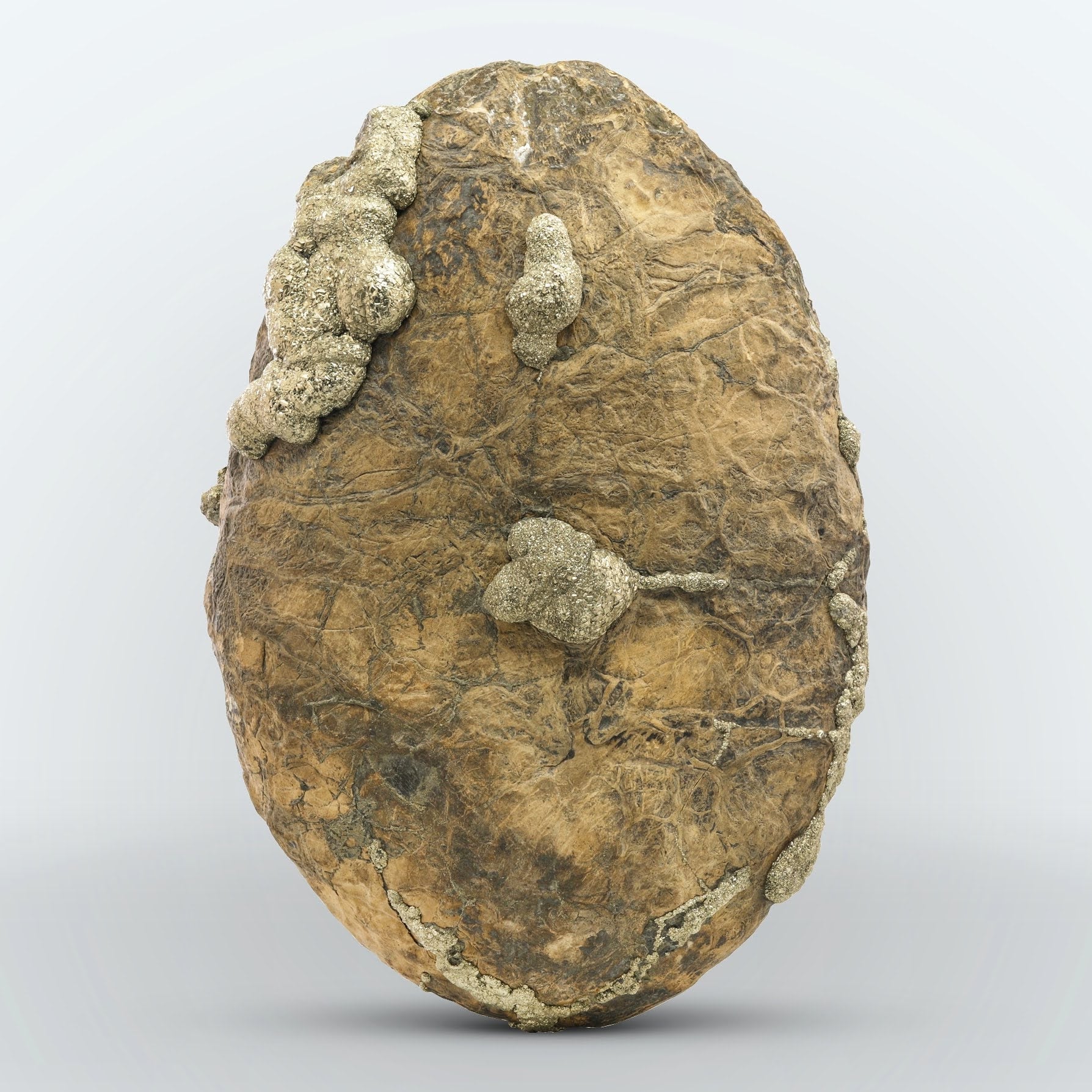 Huge Oval Shape Pyrite Marcasite on Lemonite matrix from Pakistan