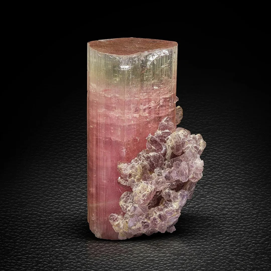 Bi color Tourmaline Crystal with Lepidolite Matrix From Afghanistan