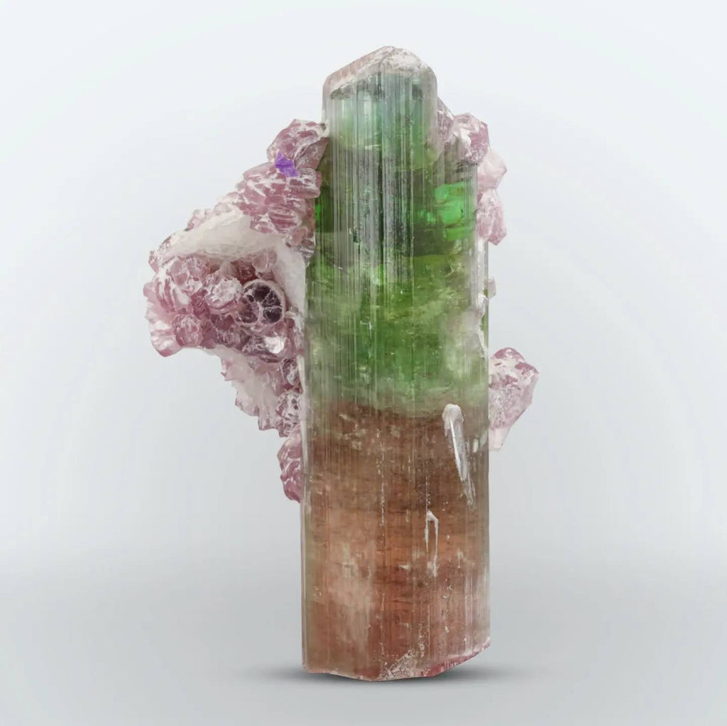 colorful Specimen of Tourmaline with purple Lepidolite From Afghanistan
