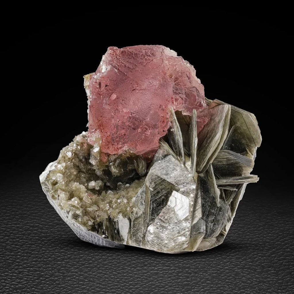 Reddish-Pink Fluorite Focal Crystal Perched on Muscovite from Pakistan