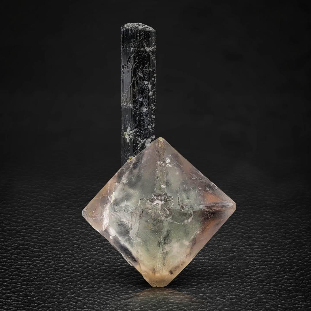 Free Standing Black Tourmaline Crystals on Pink Fluorite from Pakistan