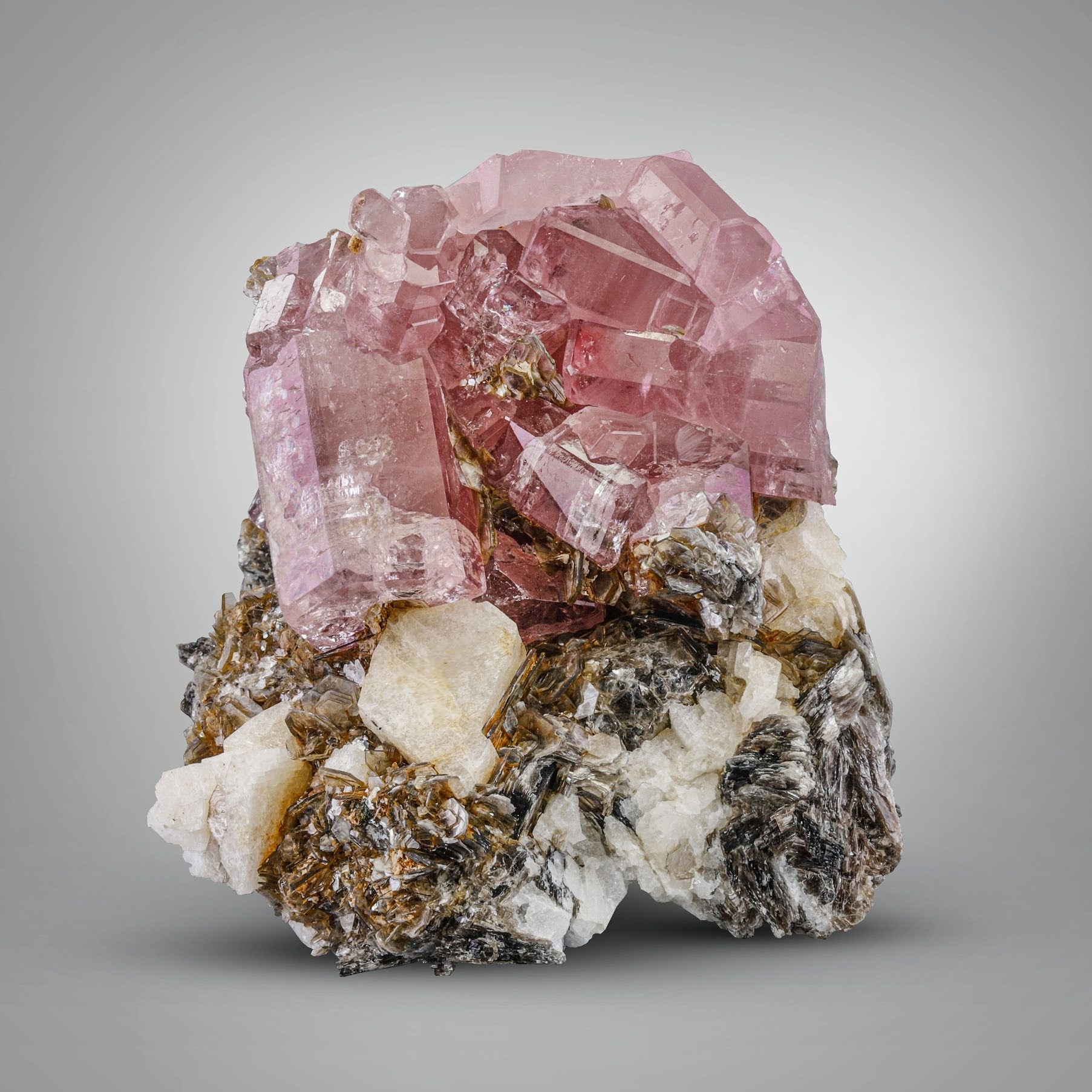 Adorable vibrant Pink Fluoroapatite Cluster on Muscovite from Pakistan