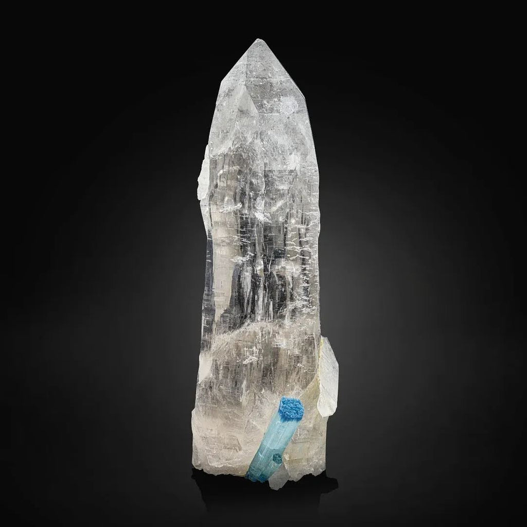 Vibrant Blue Aquamarine Crystal on Huge Pointed Terminated Quartz from Pakistan
