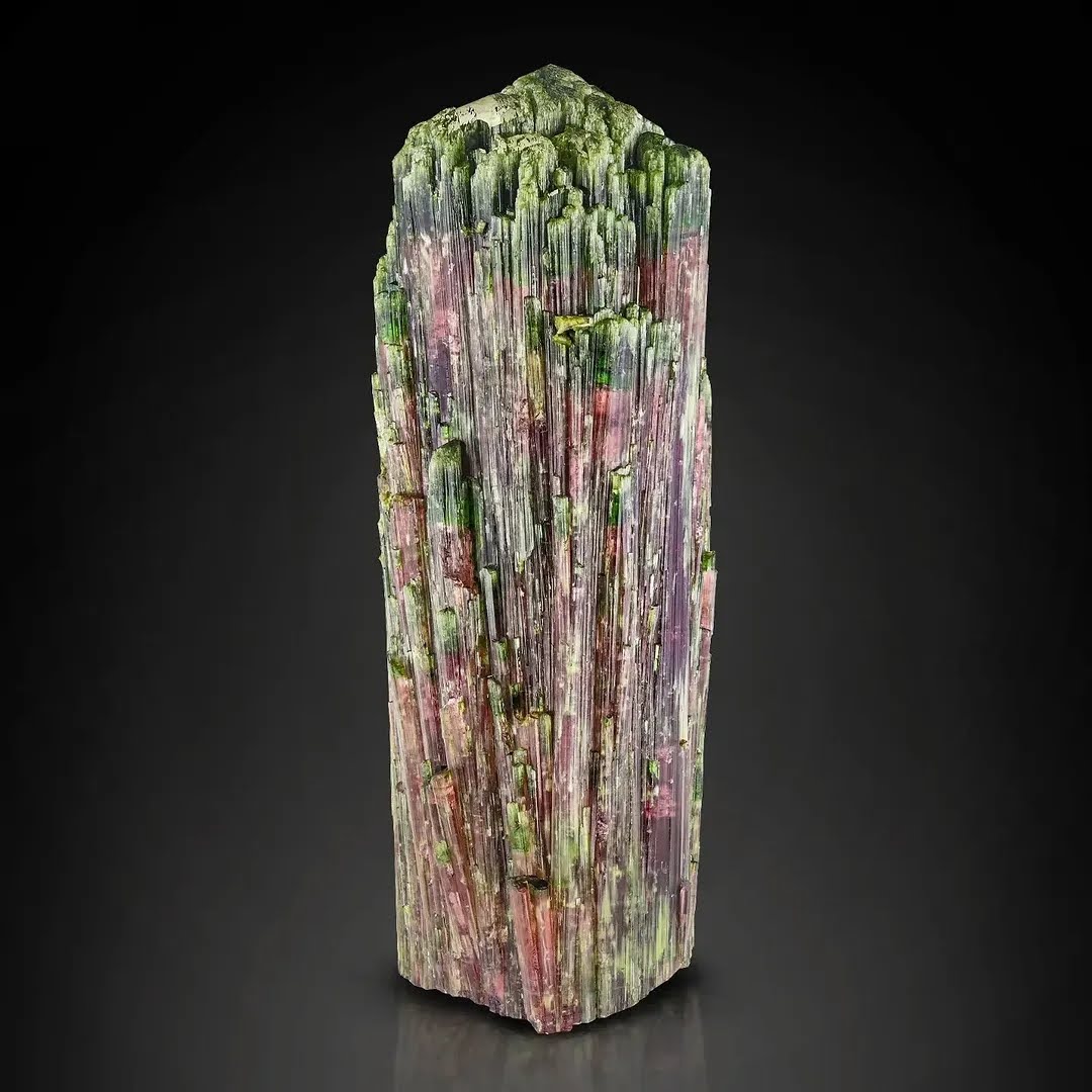 Museum Grade Large Size Bi Color Tourmaline Cluster from Brazil