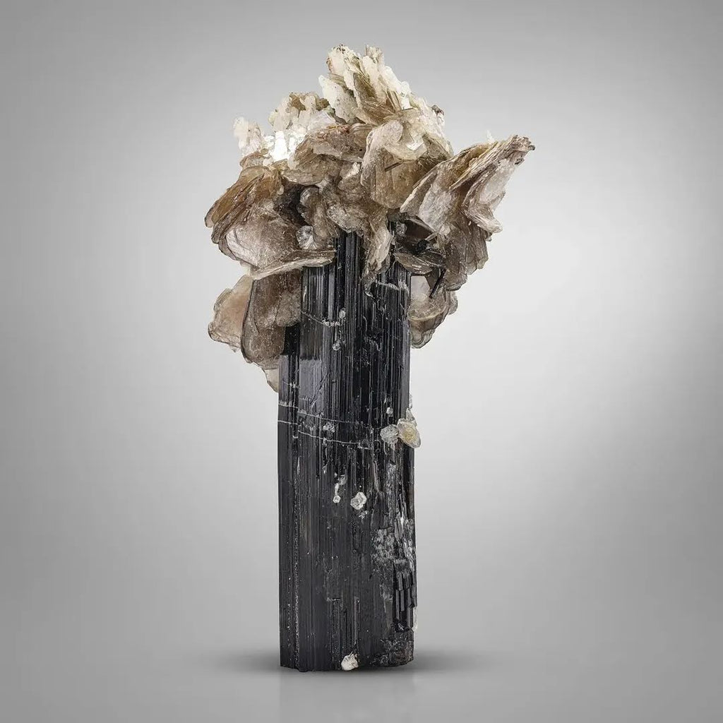 robust cluster of Muscovite Mica on Schorl Black from Pakistan