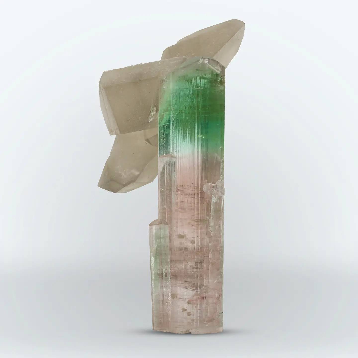 Artistic Smoky Quartz perched on Bi color Tourmaline From Afghanistan