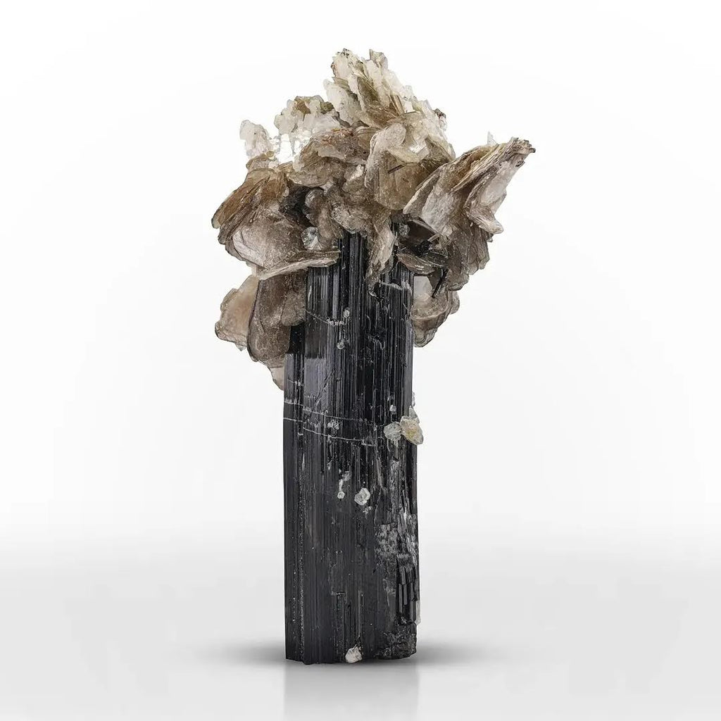 robust cluster of Muscovite Mica on Schorl Black from Pakistan
