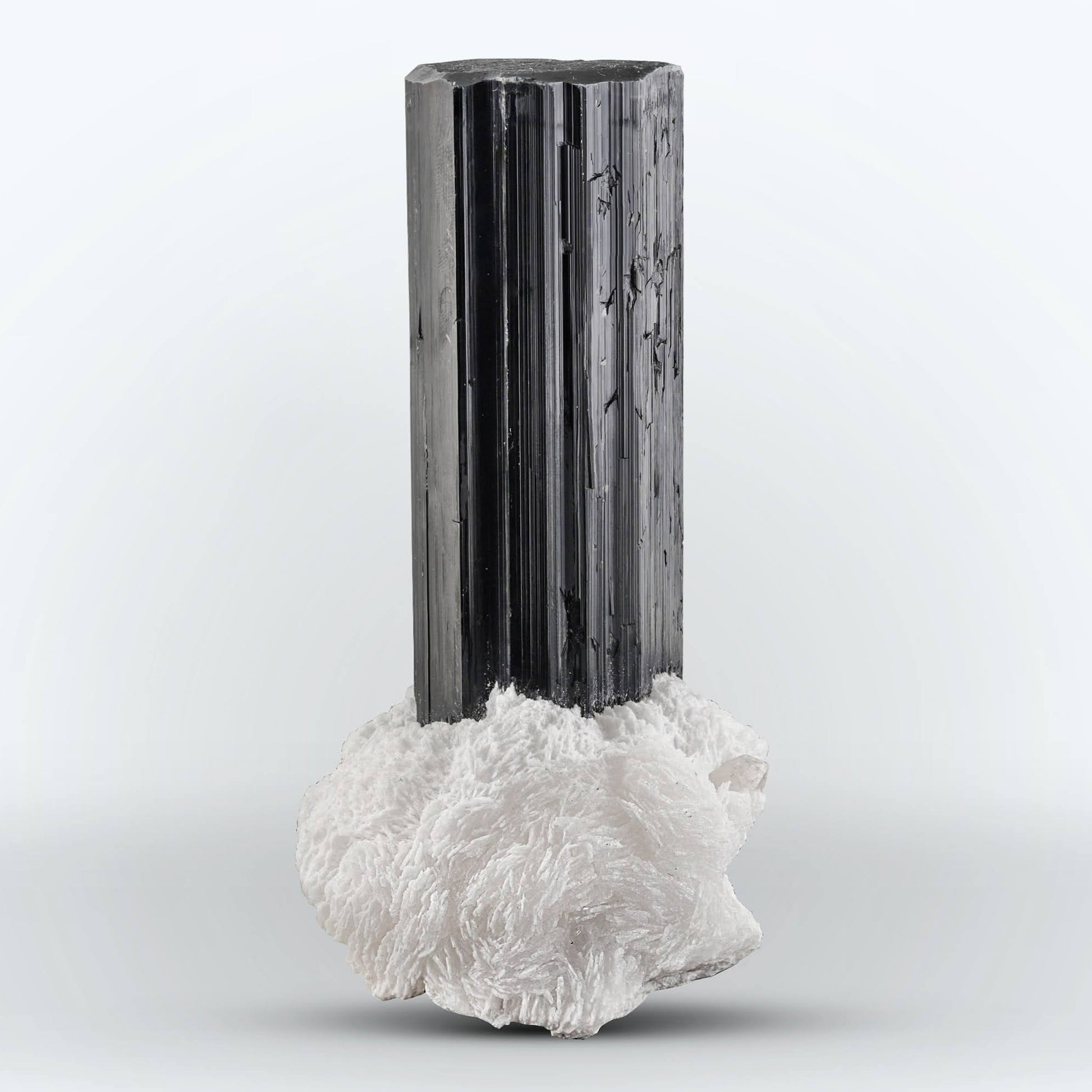 lustrous Black Tourmaline free standing crystal on Albite from Pakistan