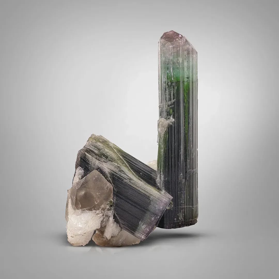 Cluster Terminated Bi color Tourmaline Crystals with Smoky Quartz from Afghanistan