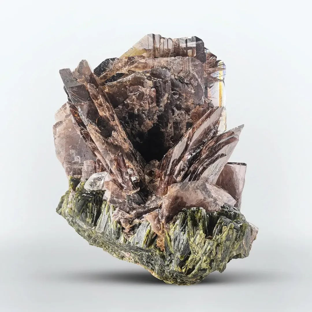 vibrant brown color Axinite crystals on Epidote from Pakistan