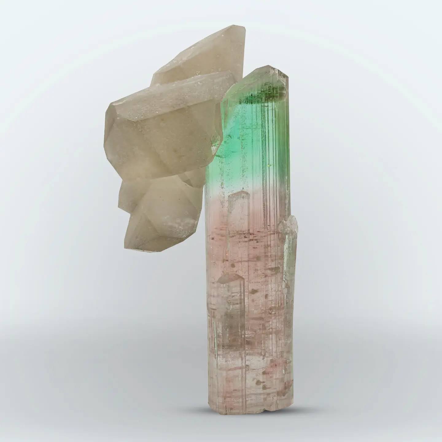 Artistic Smoky Quartz perched on Bi color Tourmaline From Afghanistan