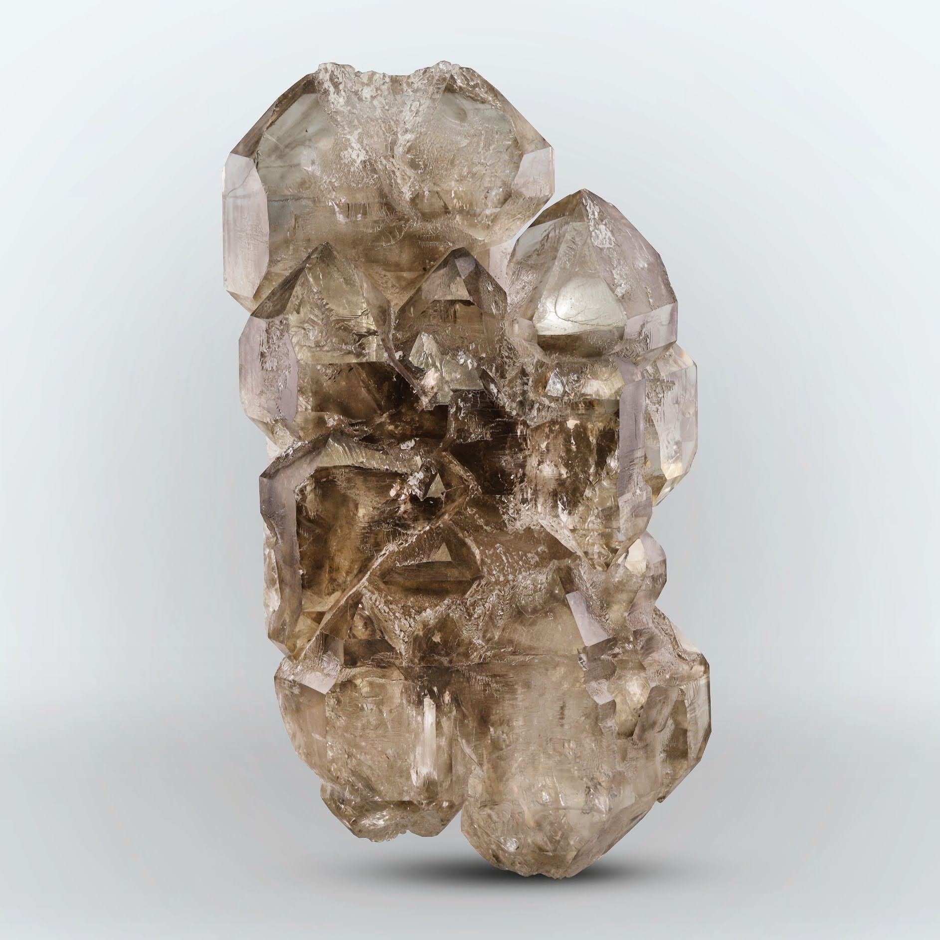 step terminated Smoky Quartz with glassy faces from Afghanistan