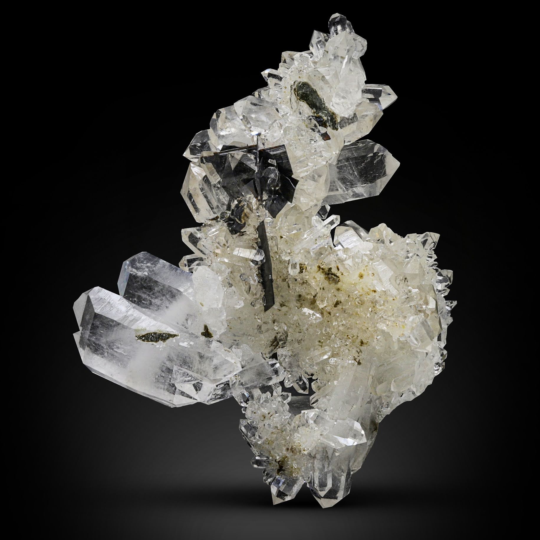 Lustrous Black Brookite crystals on shiny Faden Quartz from Pakistan