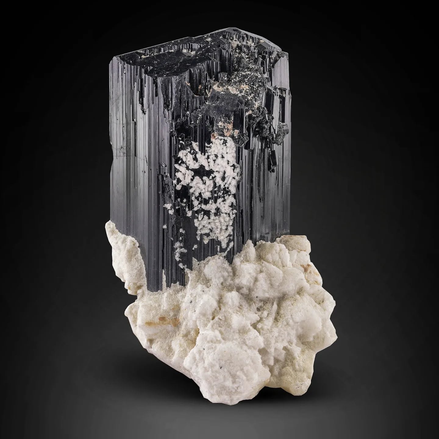Lustrous Schorl Black Tourmaline crystal on white Albite from Afghanistan