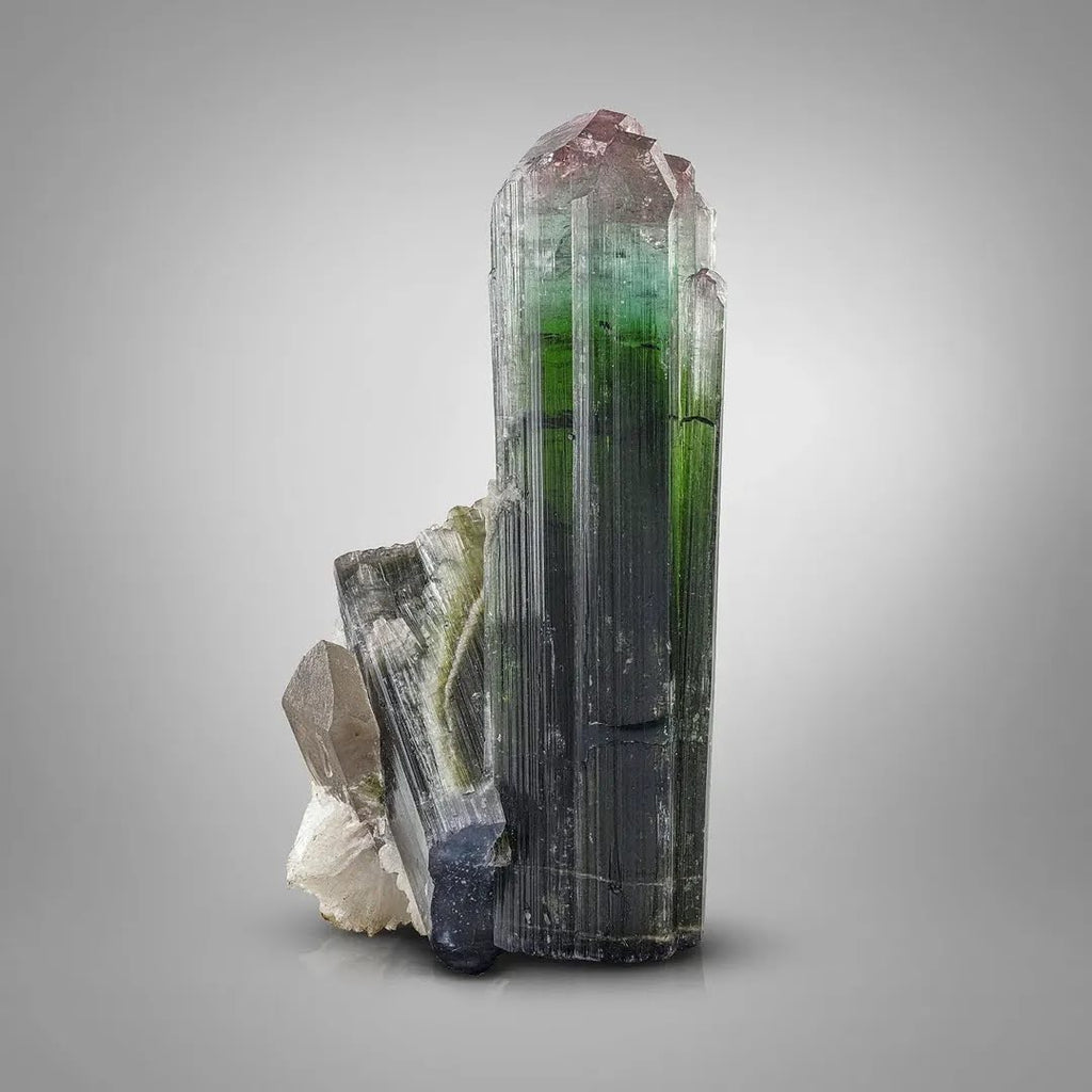 Cluster Terminated Bi color Tourmaline Crystals with Smoky Quartz from Afghanistan