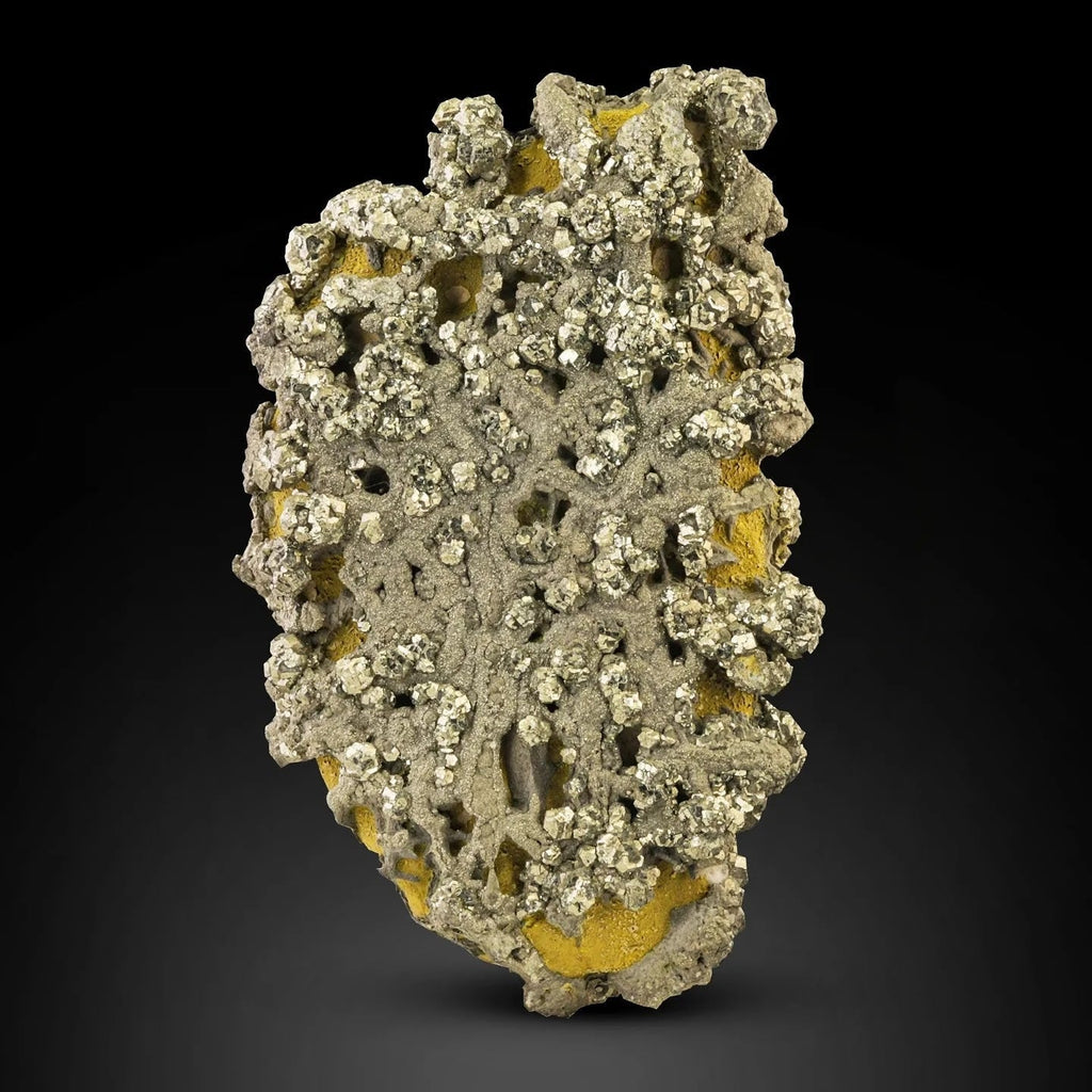 Sculptural specimen of Marcasite crystals on Lemonite from Pakistan