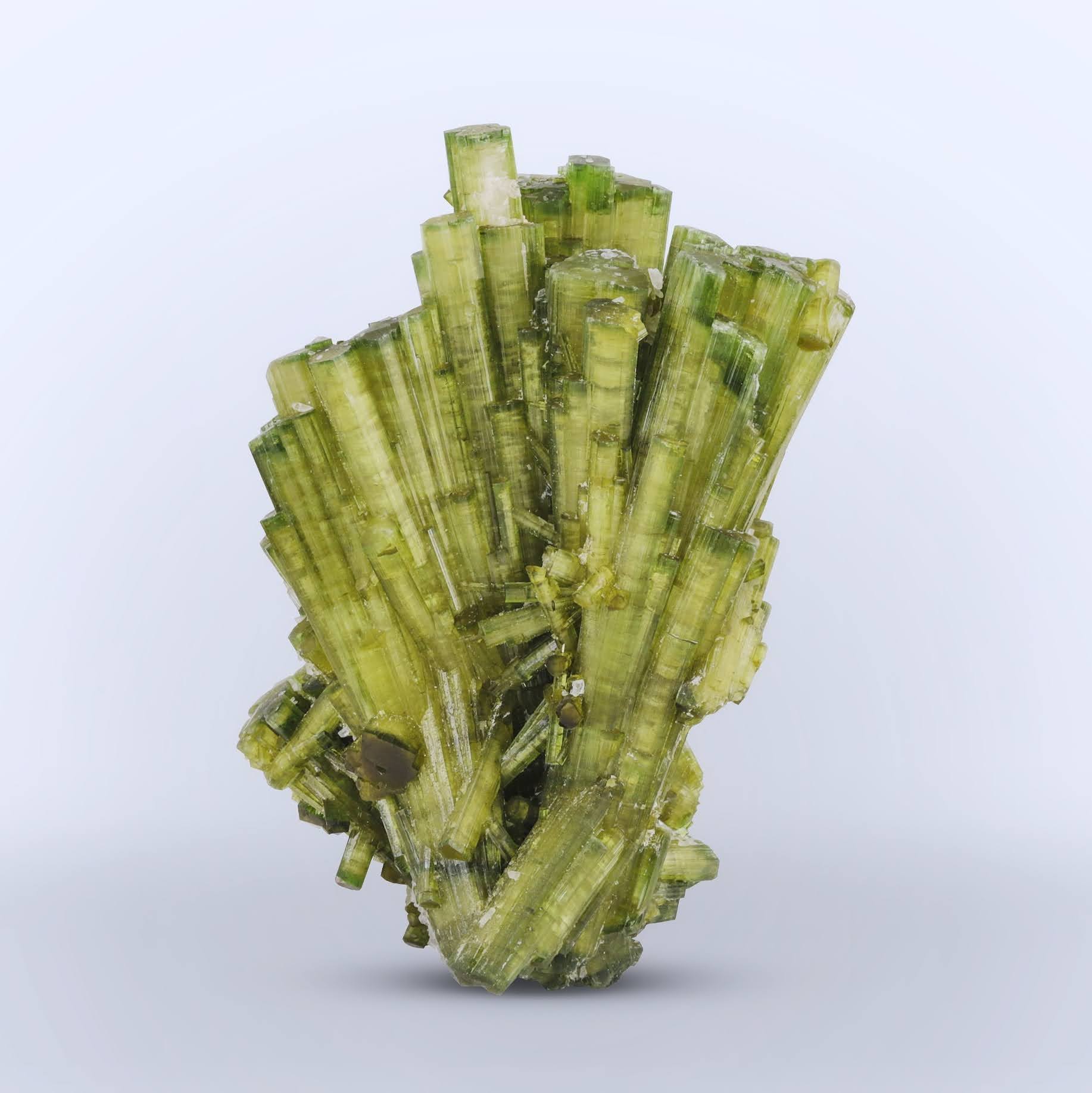 Gorgeous clustering of double terminated bicolor Tourmaline crystals from Pakistan