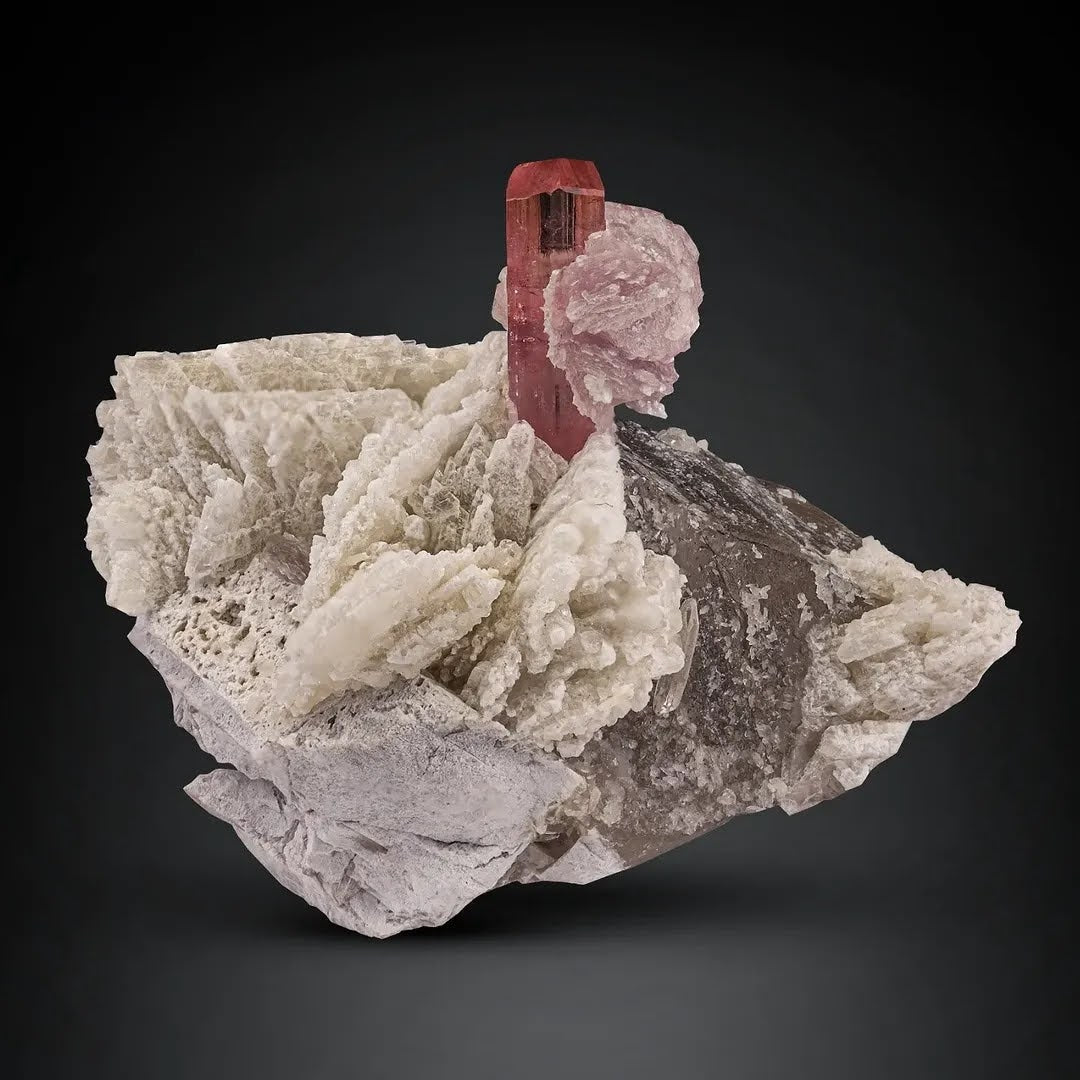 Pink Tourmaline with Lepidolite on Smoky Quartz from Afghanistan