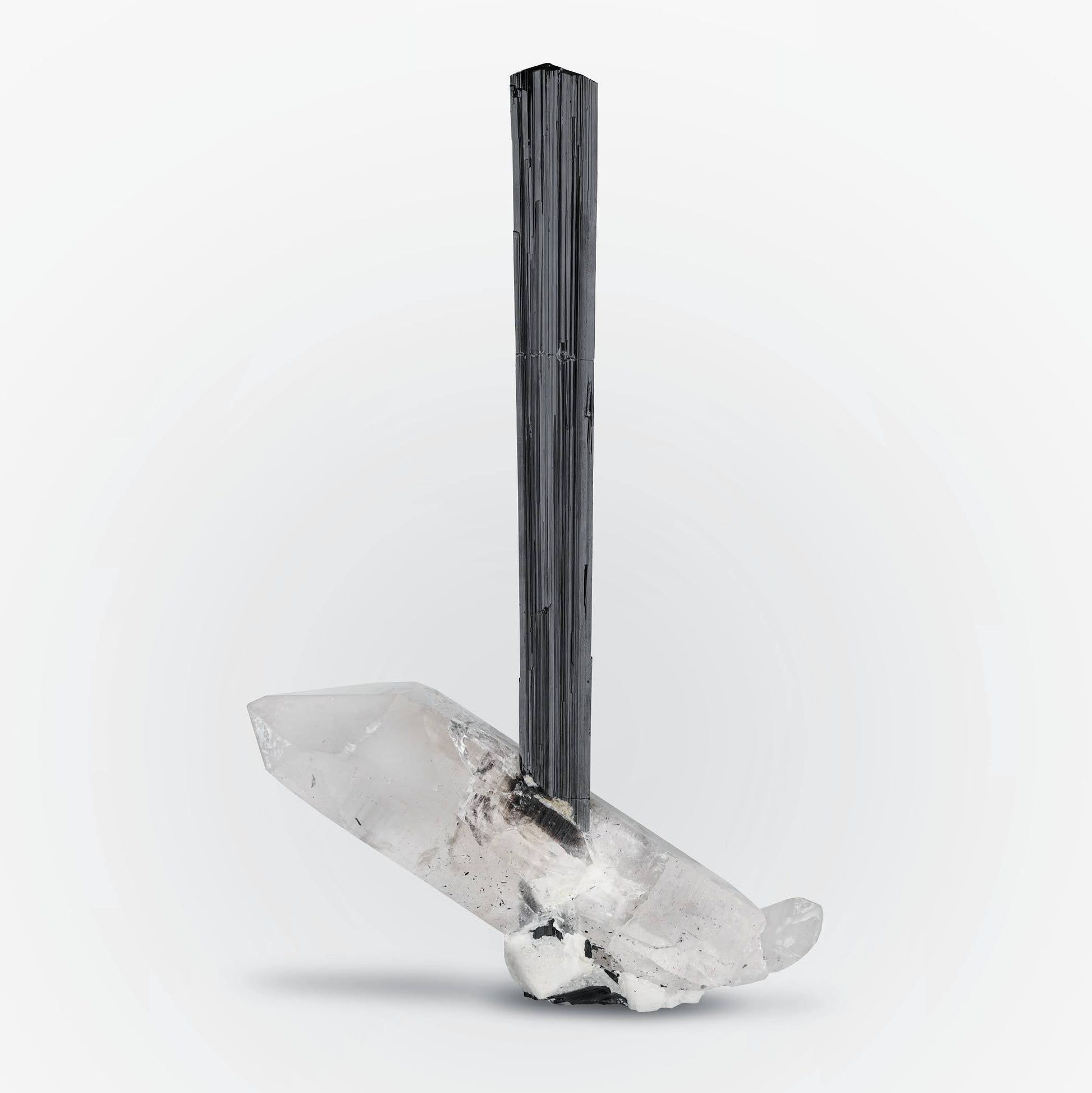 Museum grade free standing Tourmaline crystal on Quartz from Pakistan