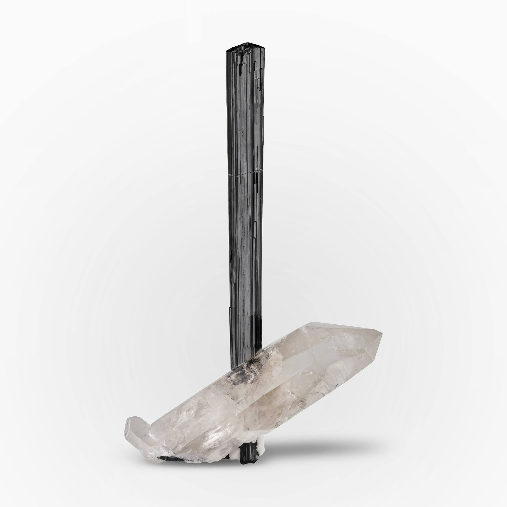 Museum grade free standing Tourmaline crystal on Quartz from Pakistan