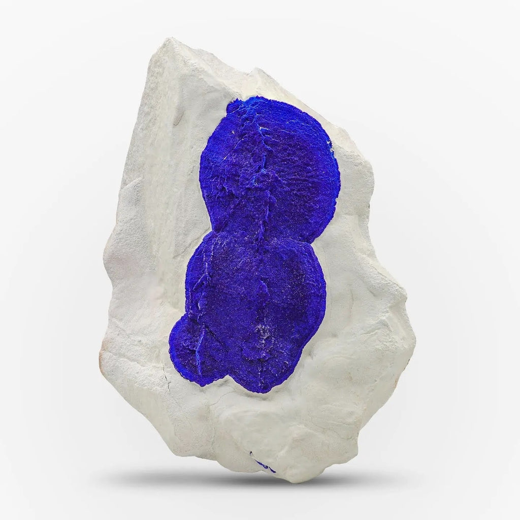 Blue Azurite Sun Crystals On white Kaolinite Matrix From Australia
