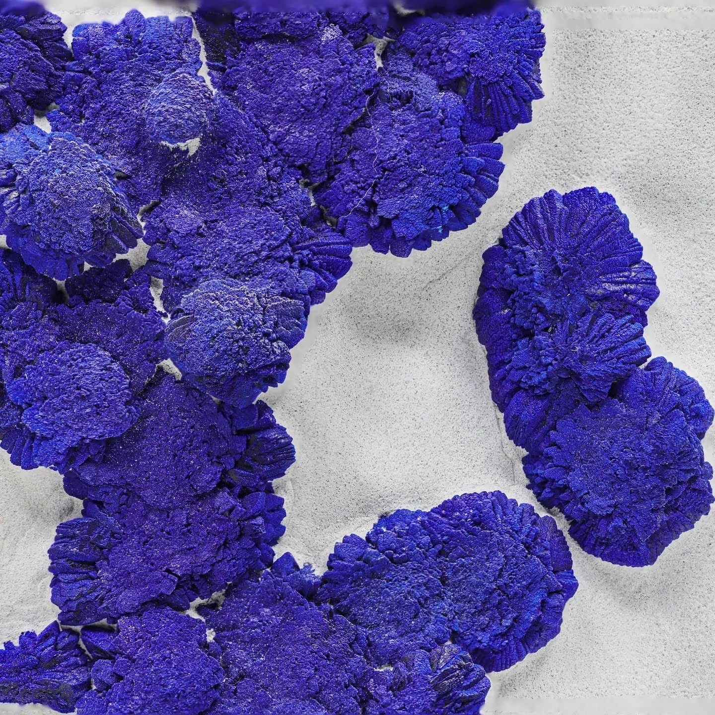 Blue Azurite Sun Crystals on Kaolinite Matrix From Australia
