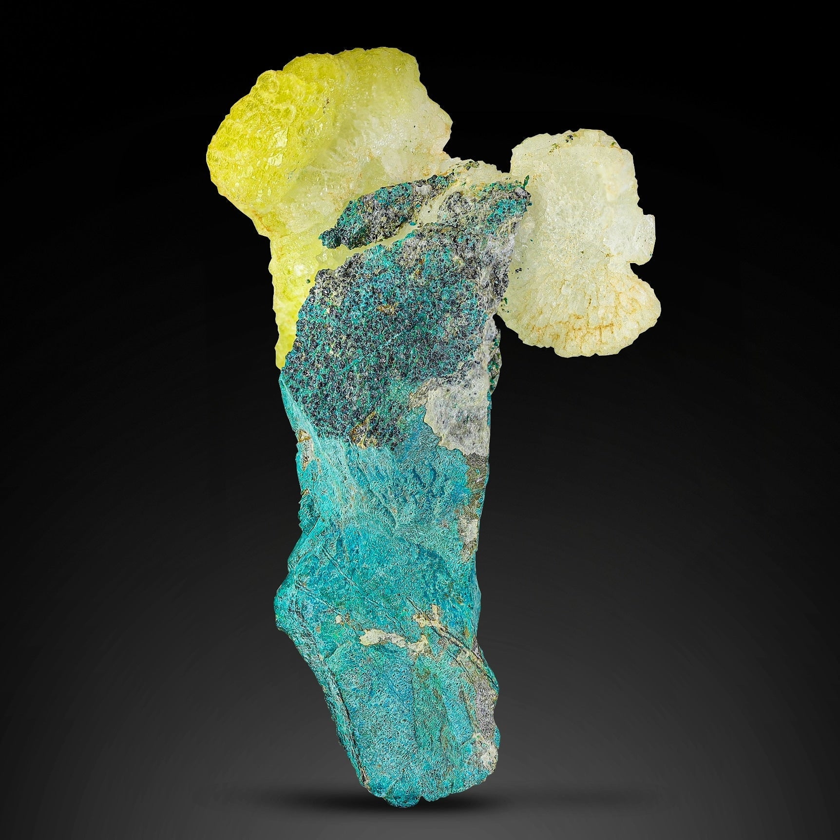 Attractive Brucite Crystals on Chrysocolla matrix from Pakistan
