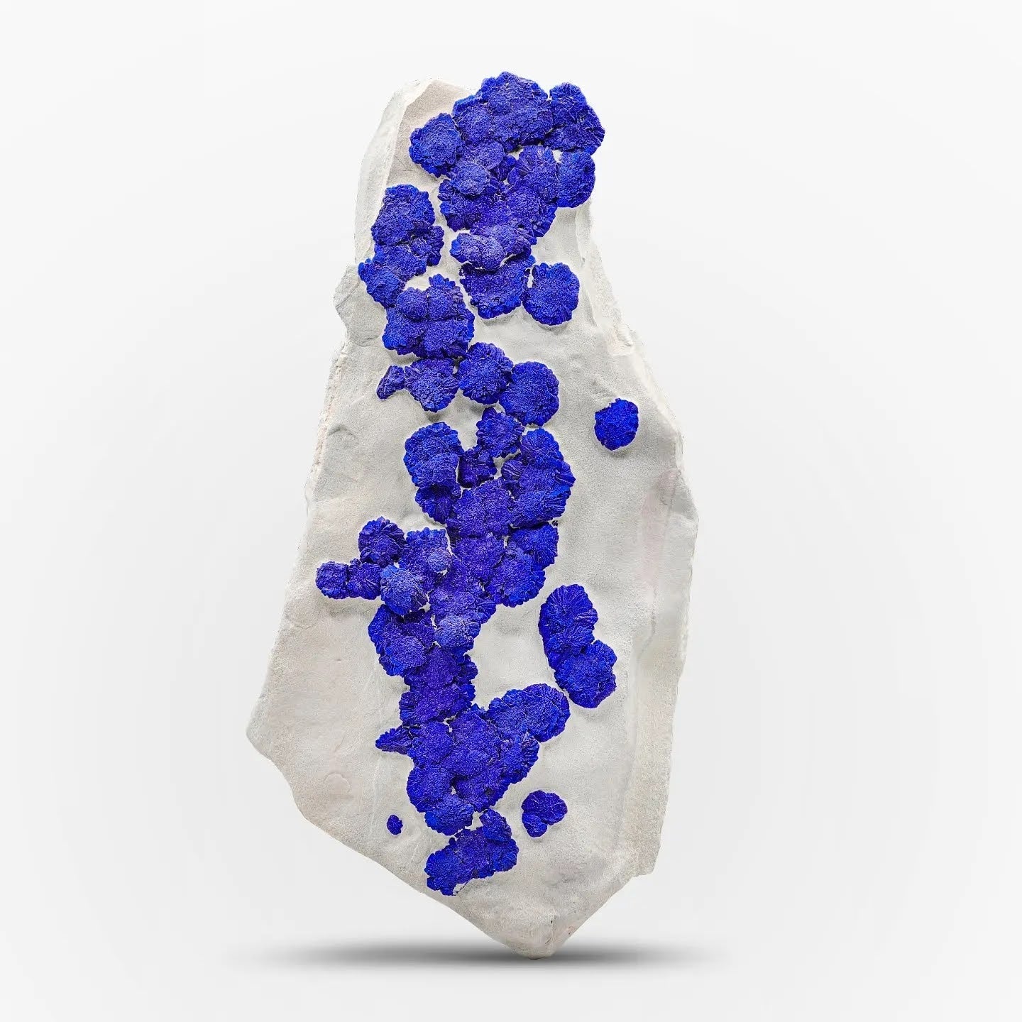 Blue Azurite Sun Crystals on Kaolinite Matrix From Australia