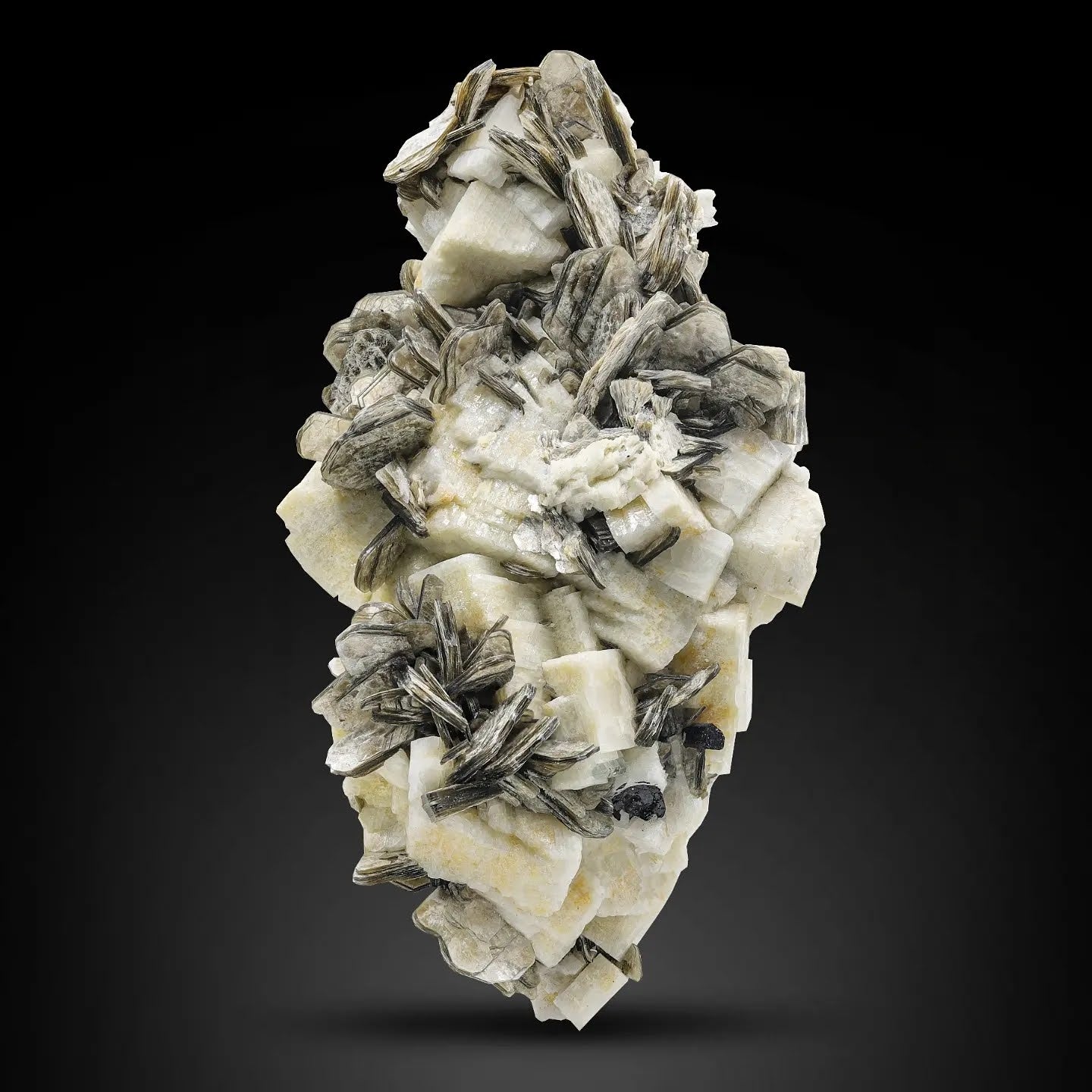 Muscovite Mica Rosettes On Microcline Feldspar From Pakistan