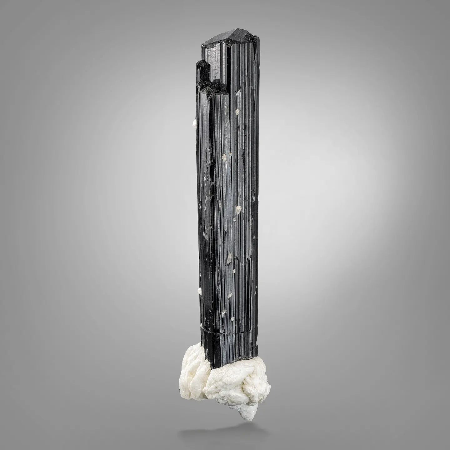 Attractive Elongated Black Tourmaline Crystal On Snowy White Albite